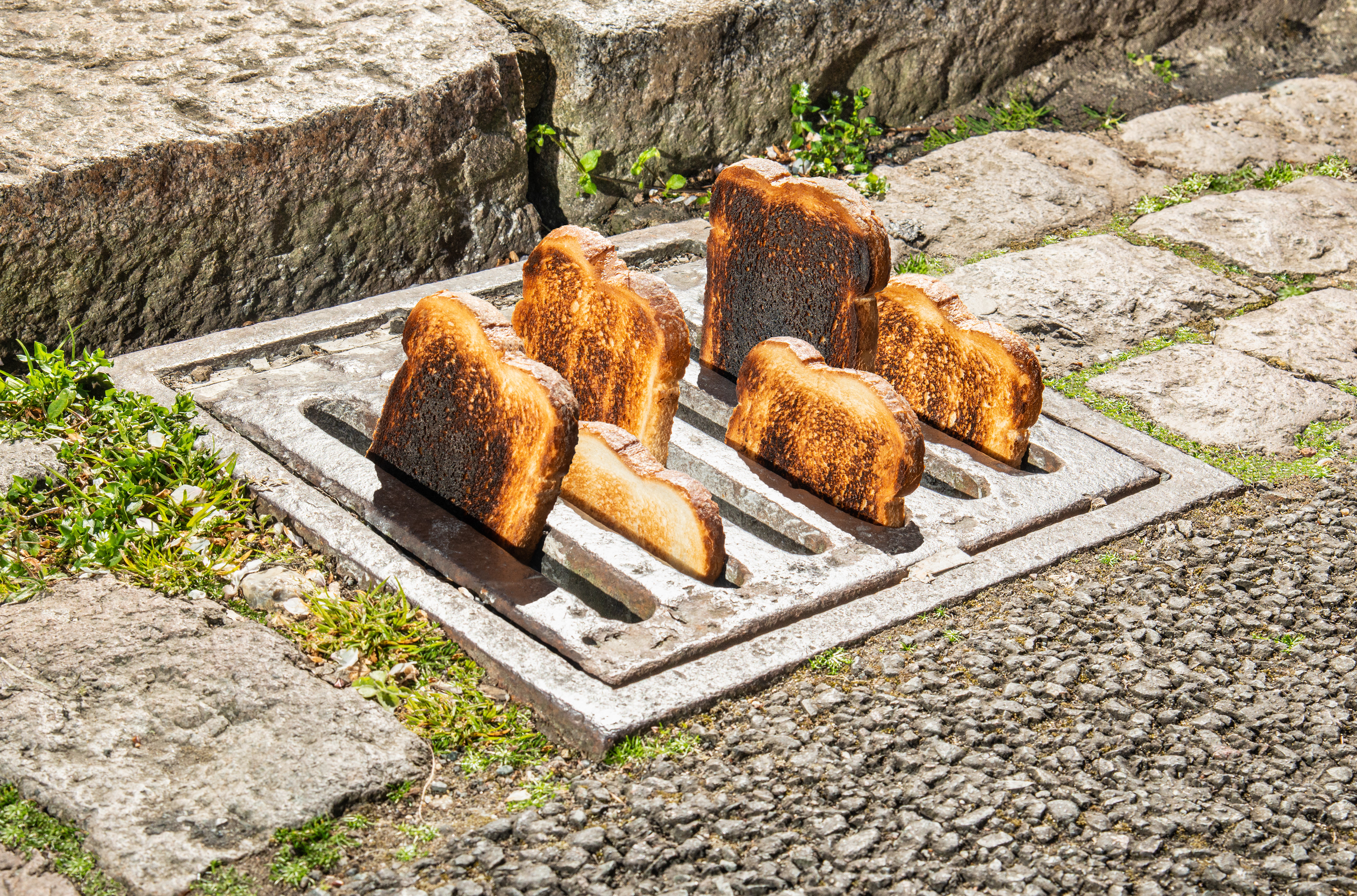 Neighbourhood Watch with Alexander Coggin