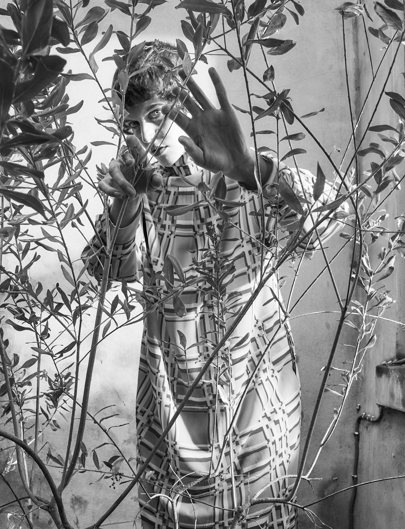 TANK Magazine with Sohrab Golsorkhi-Ainslie