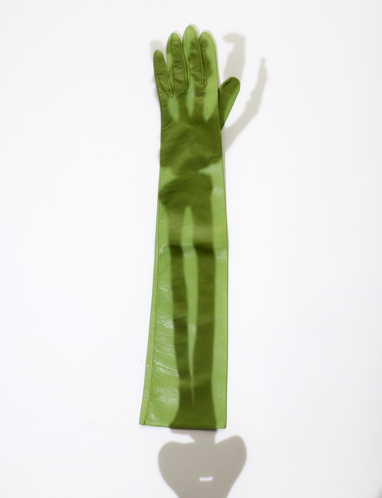 TANK Magazine with Sohrab Golsorkhi-Ainslie