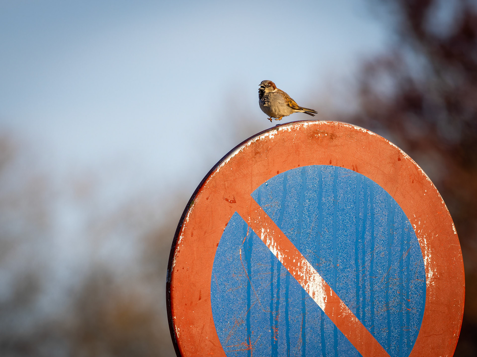 No parking in this area!