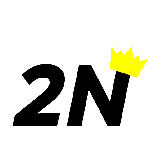 '2N - Social Group Logo'