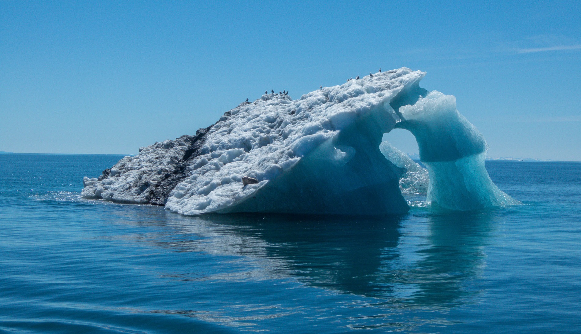 Eisberg voraus! (im Prince William Sound)