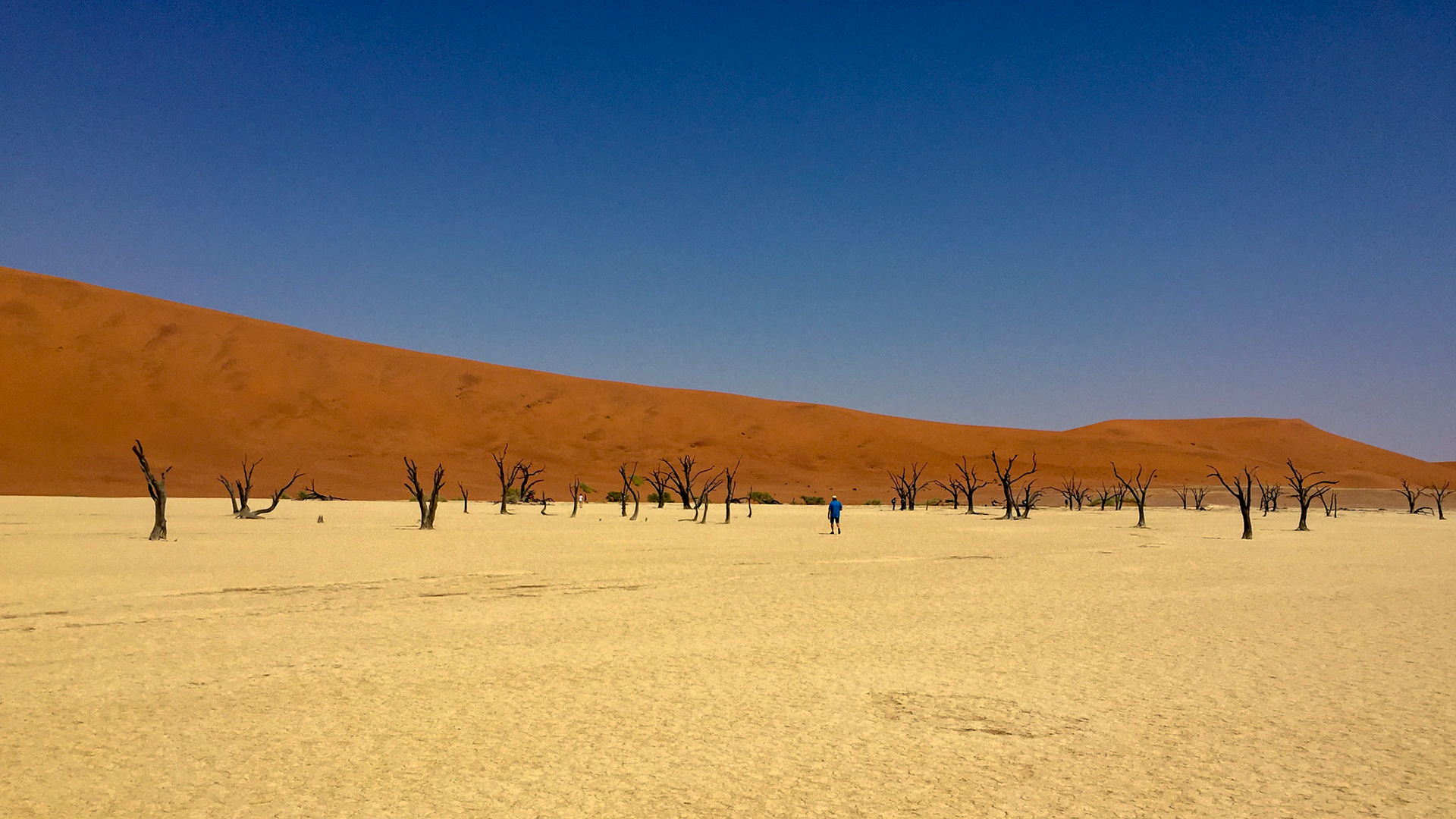 Dead Vlei