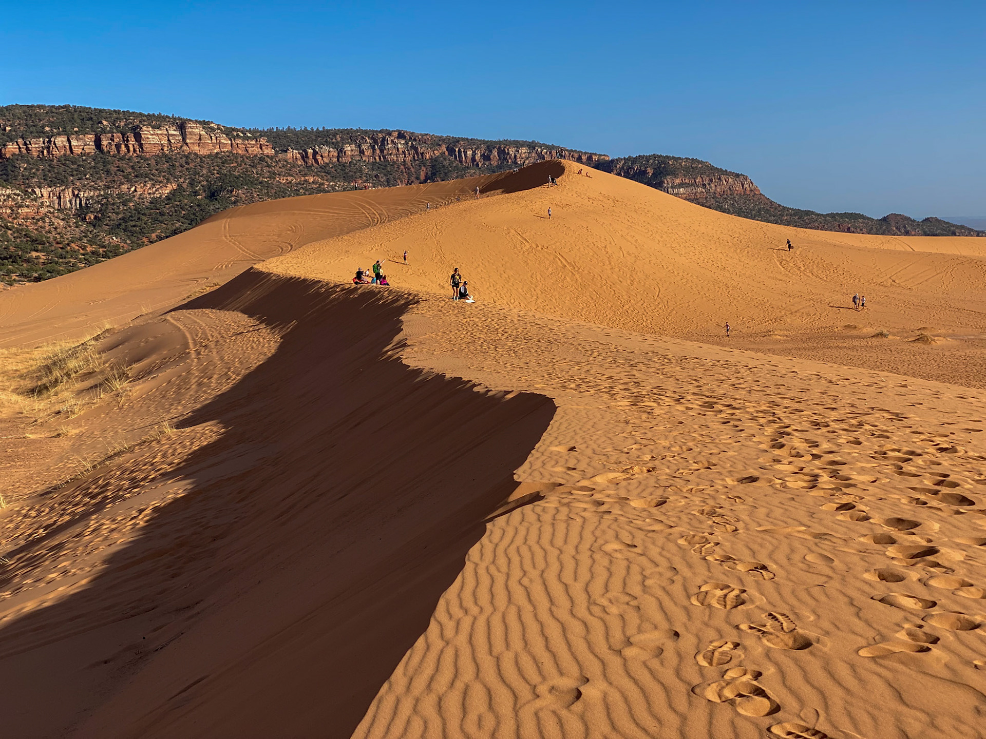 Coral Pink Sanddunes, Utah