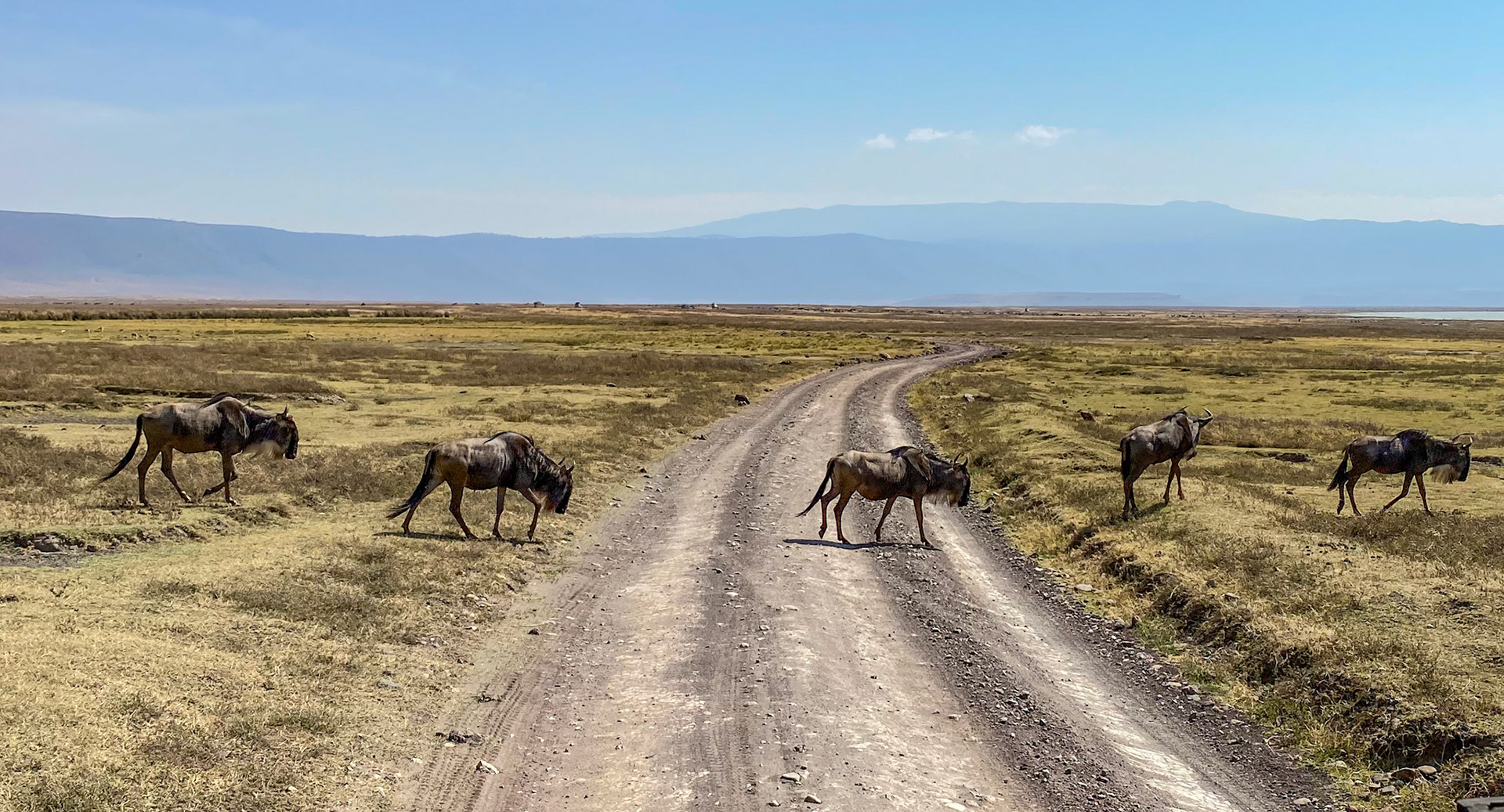 im Ngorongoro-Krater