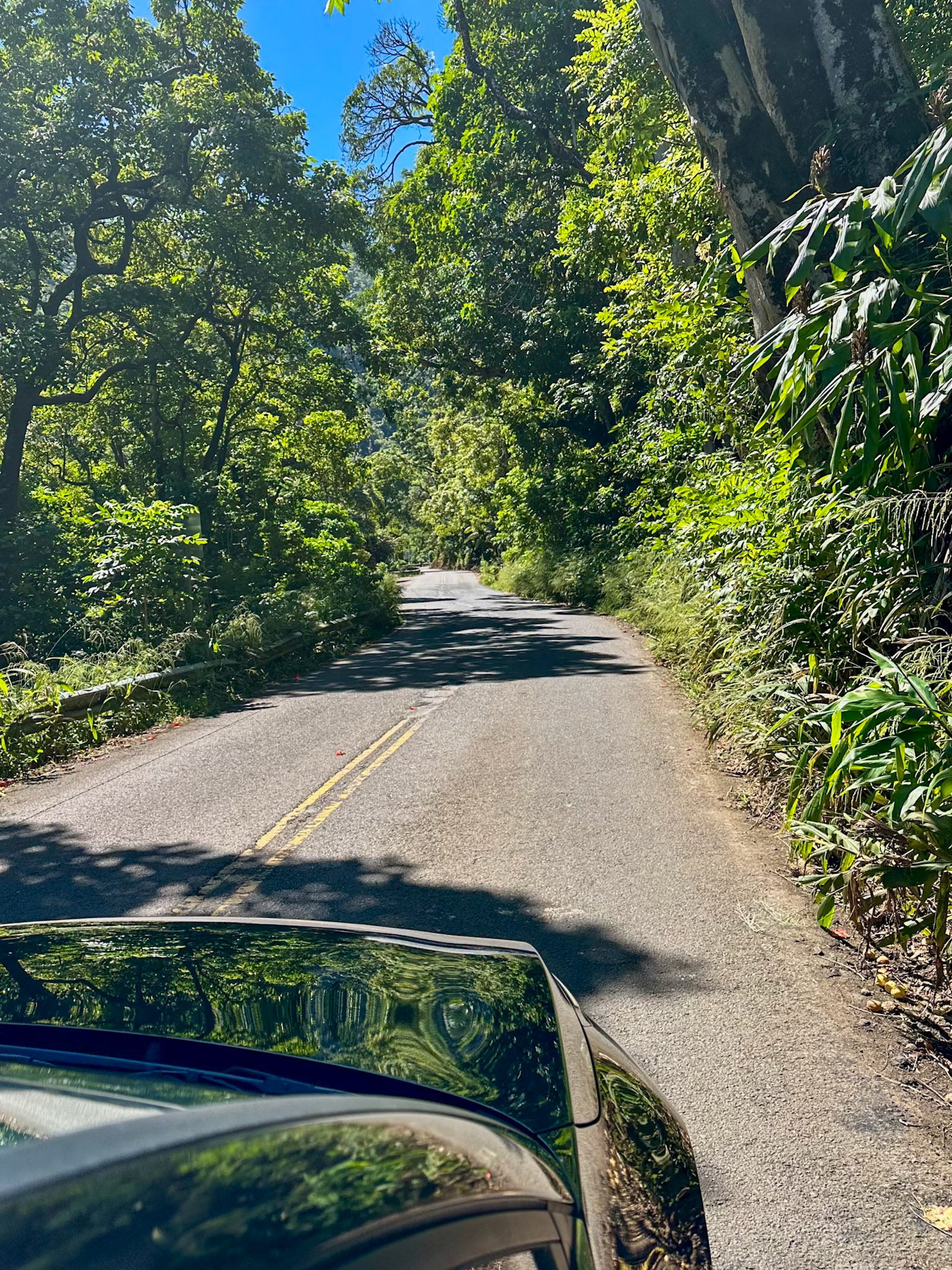 Road to Hana (Maui)