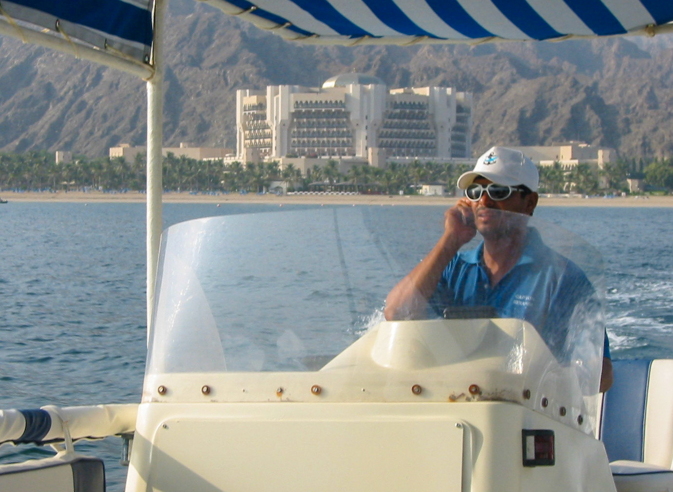 Dolphin Watching