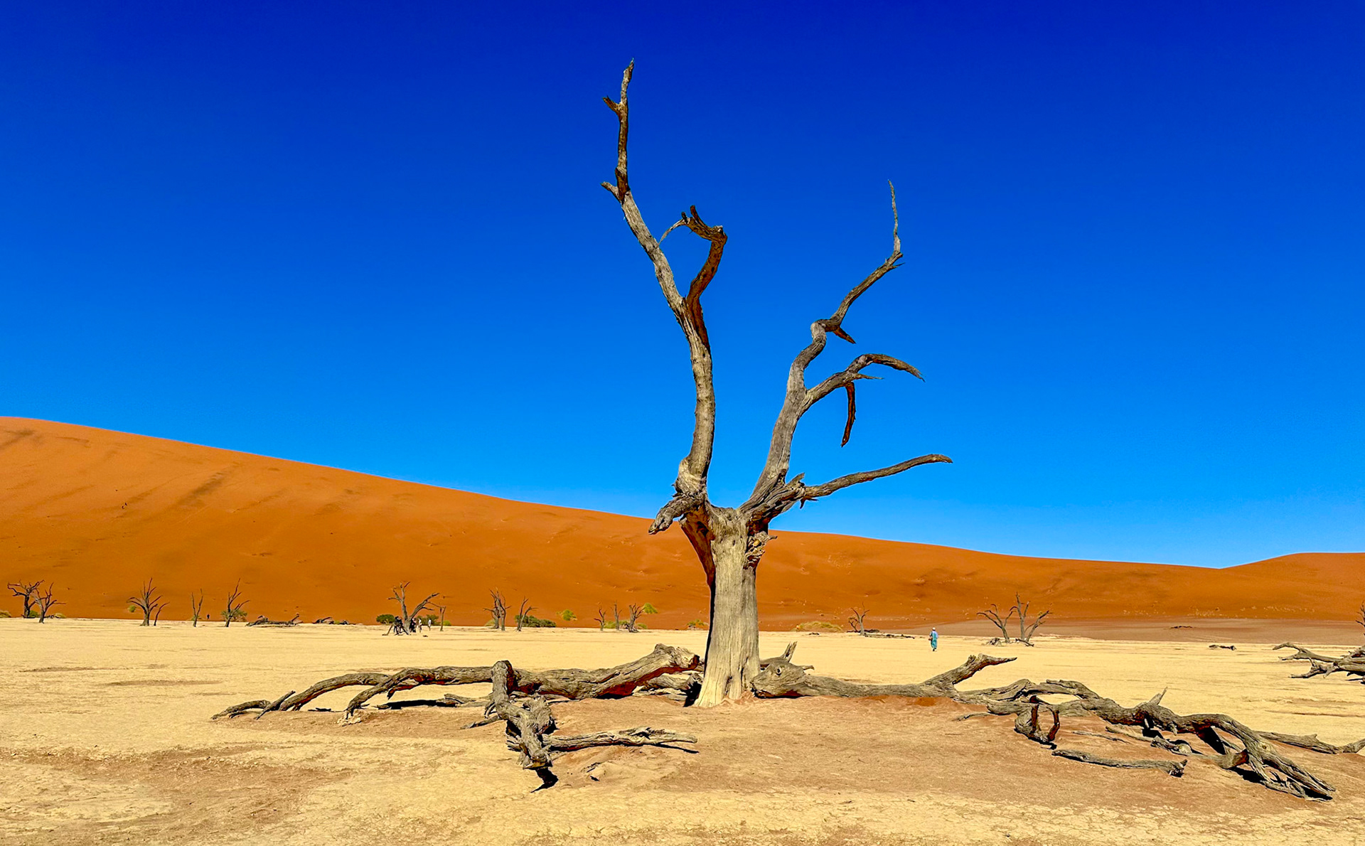 Deadvlei
