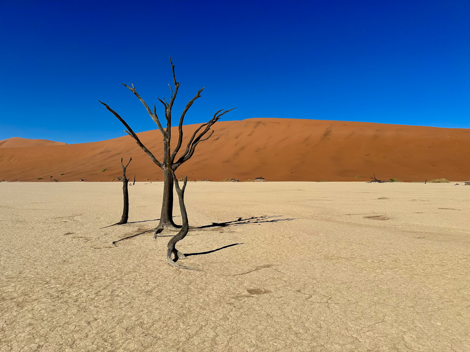Deadvlei