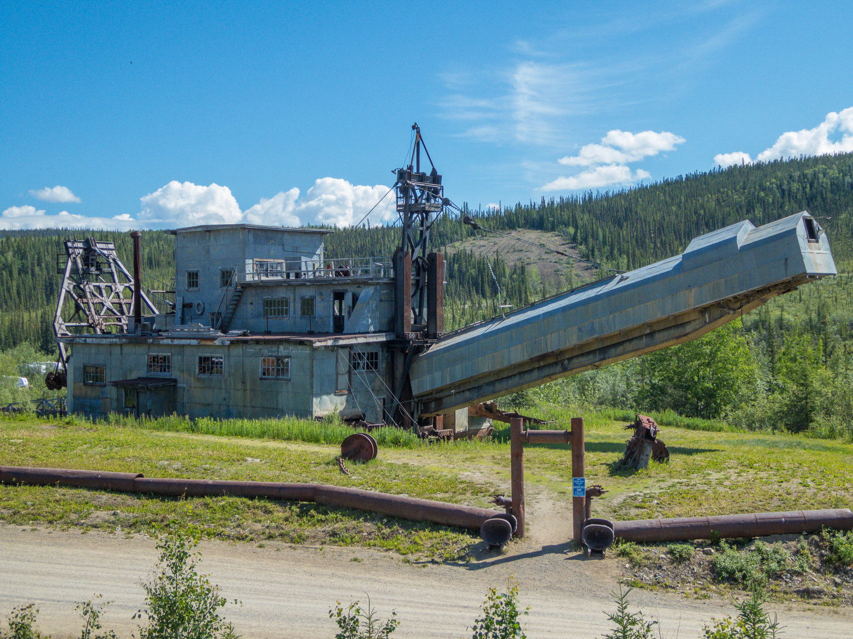 Dredge (Goldbagger) in Chicken