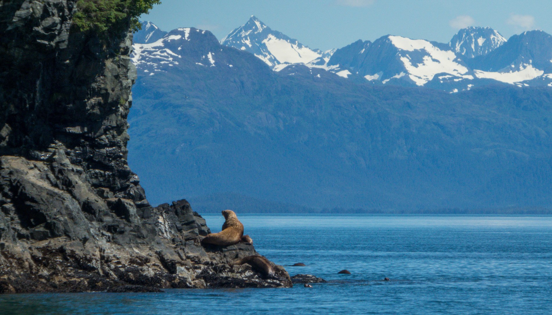 Prince William Sound