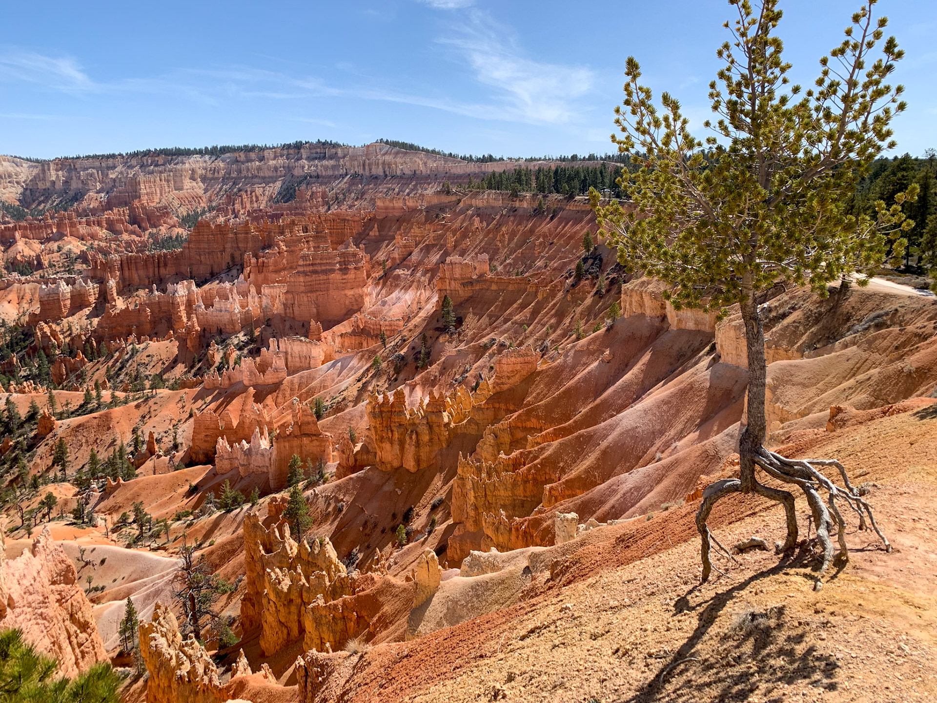 Bryce Canyon