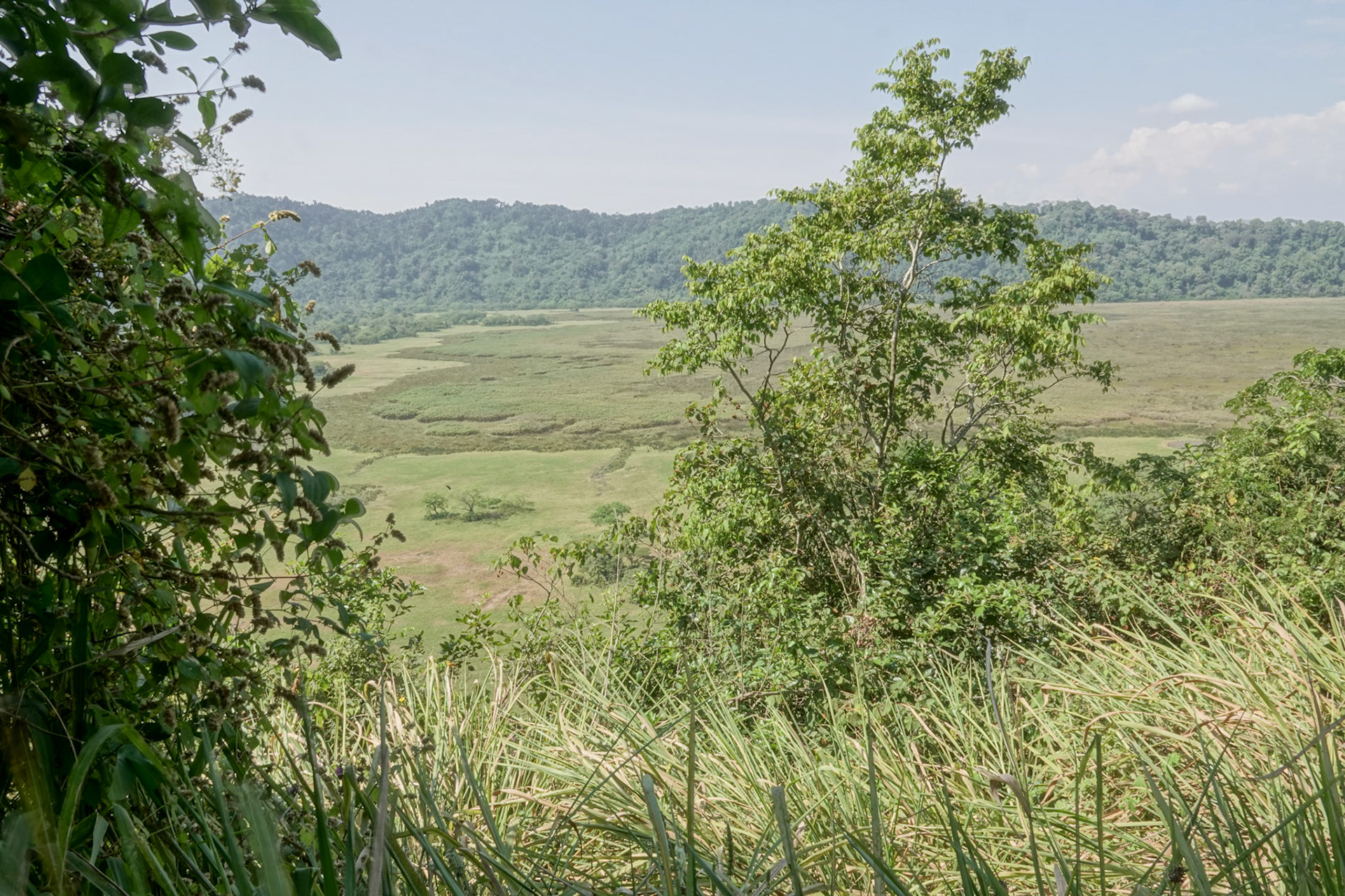 Ngurdoto Krater (Mount Mikindu Viewpoint)