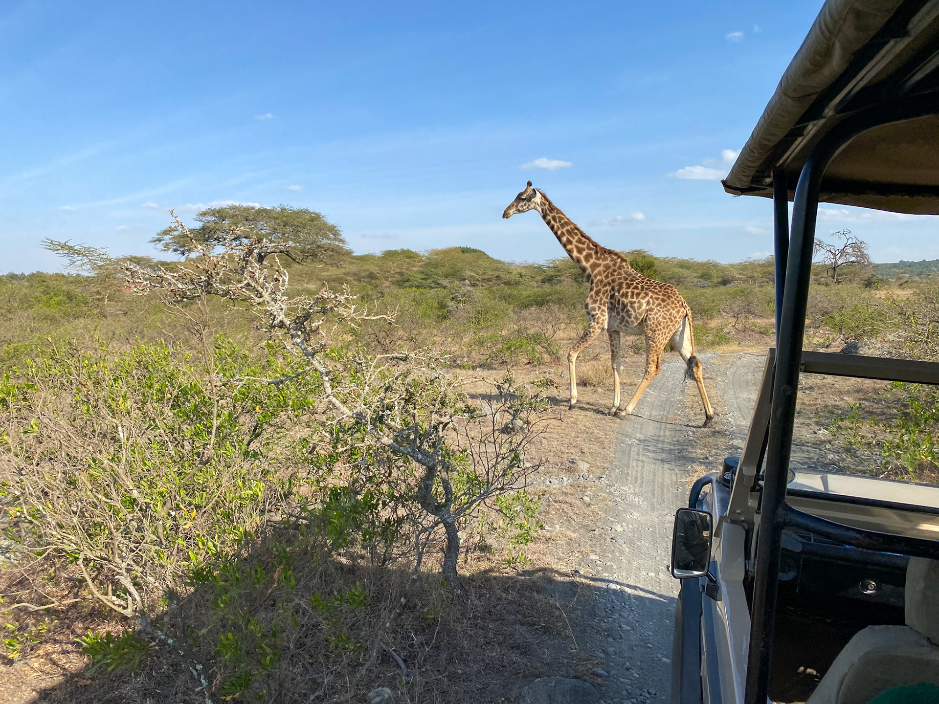 jetzt aber schnell....