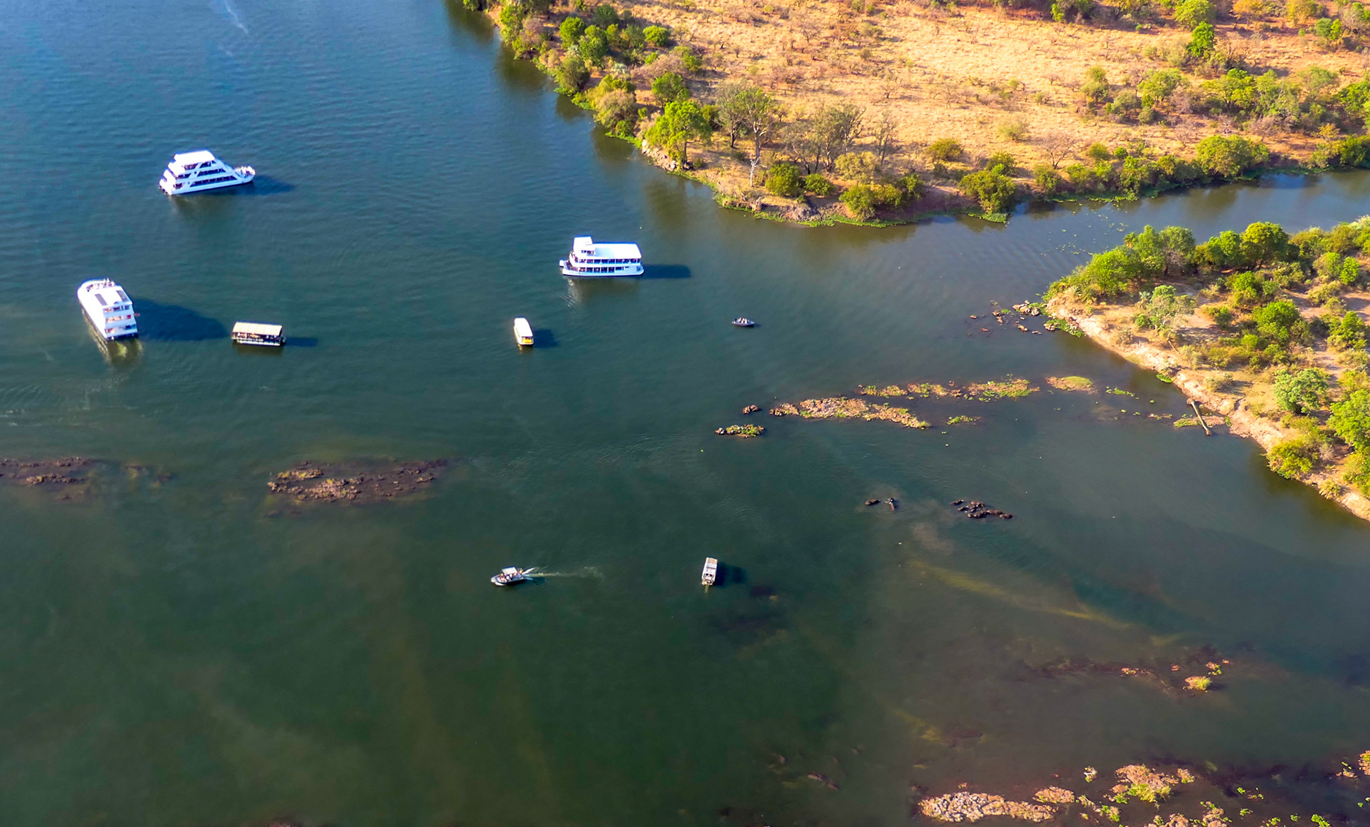 Elefanten im Sambesi