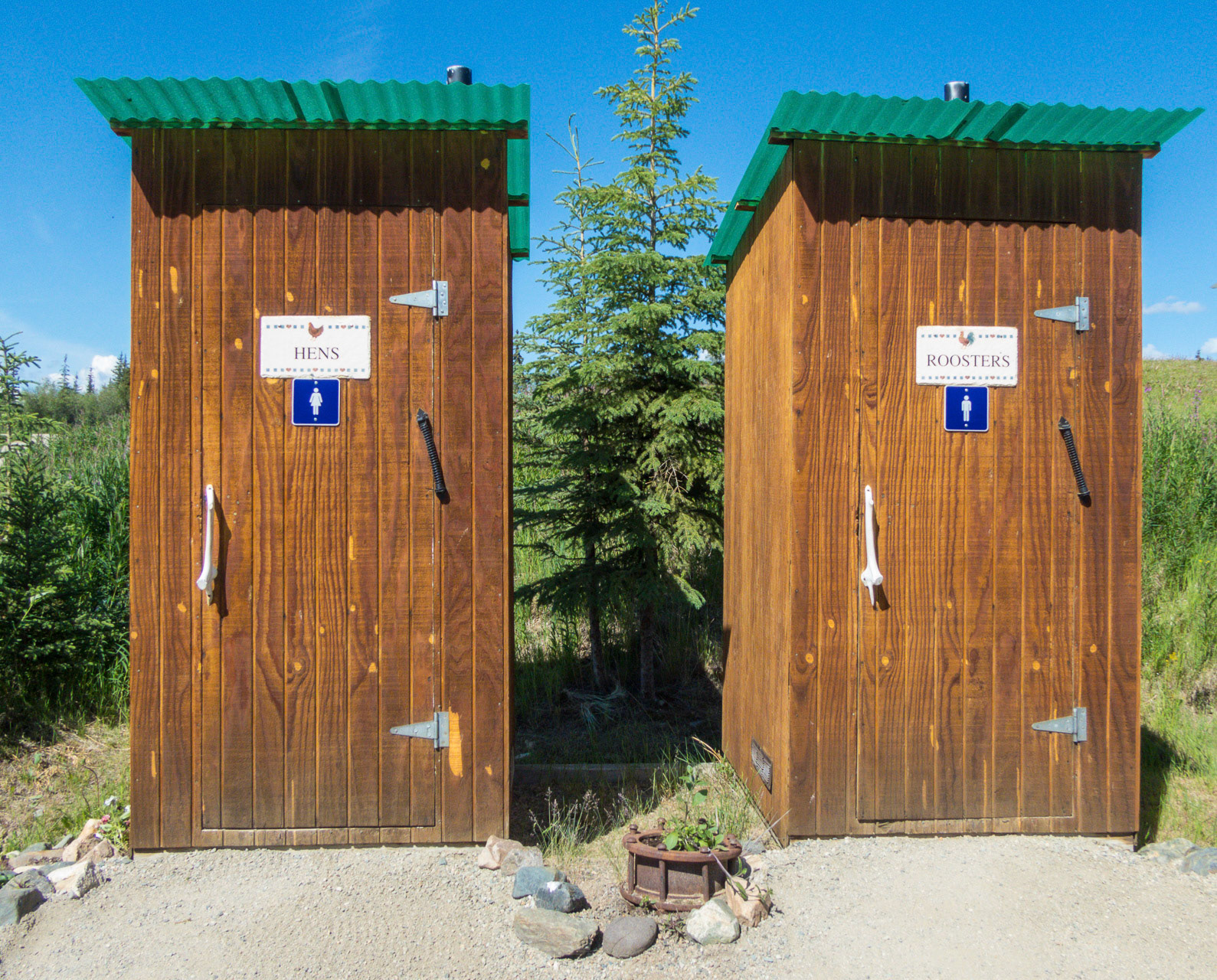 in Chicken: Hens links, Roosters rechts :-)