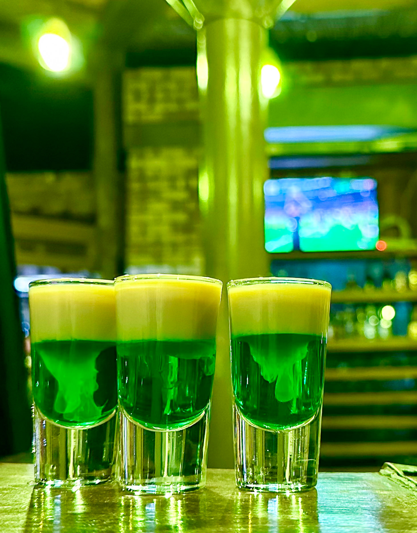 ein Springbok auf den Springbok-Sieg