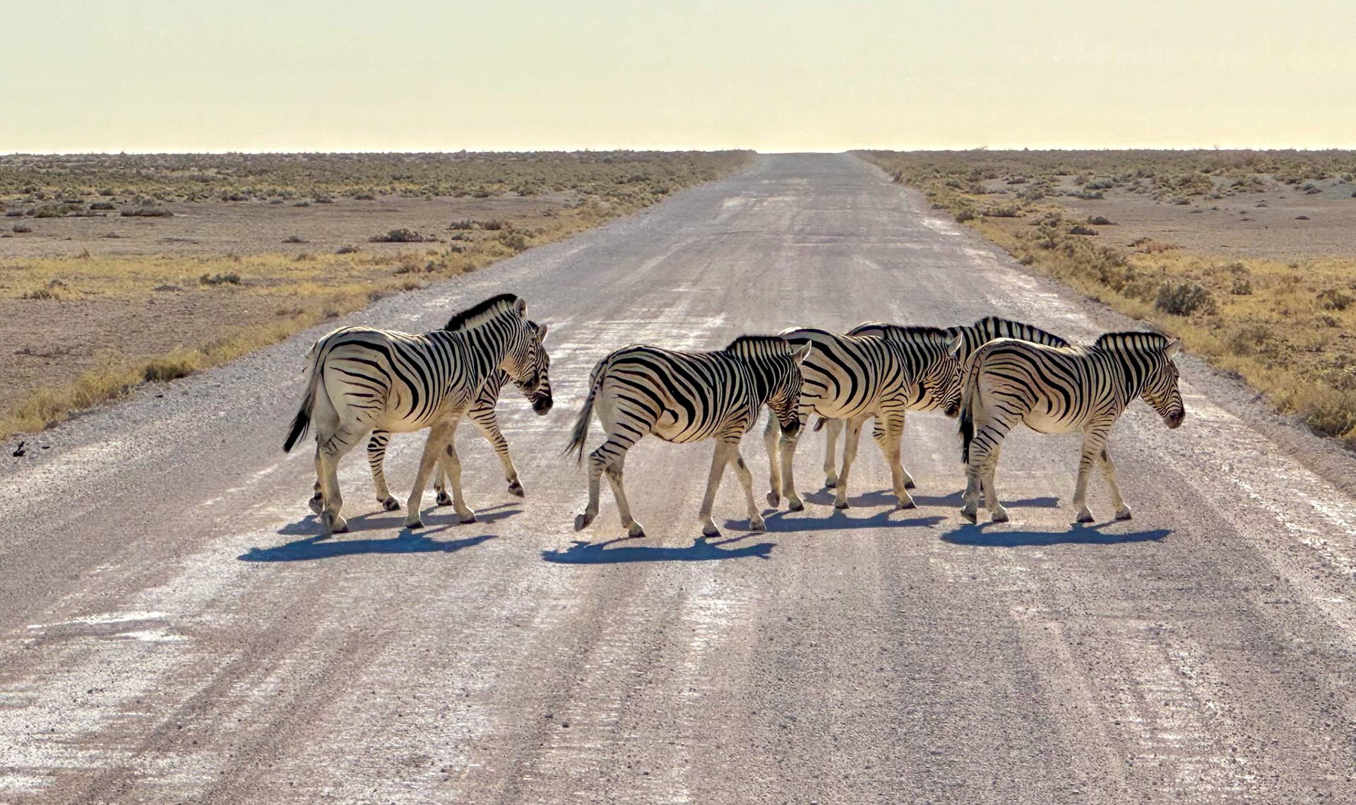 Etosha