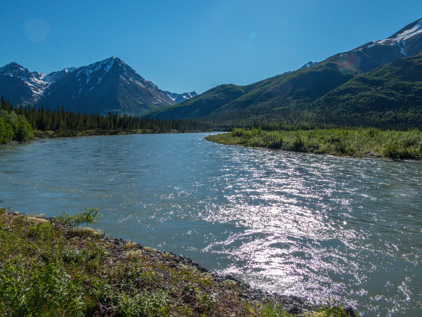 Denali River am Parks Highway