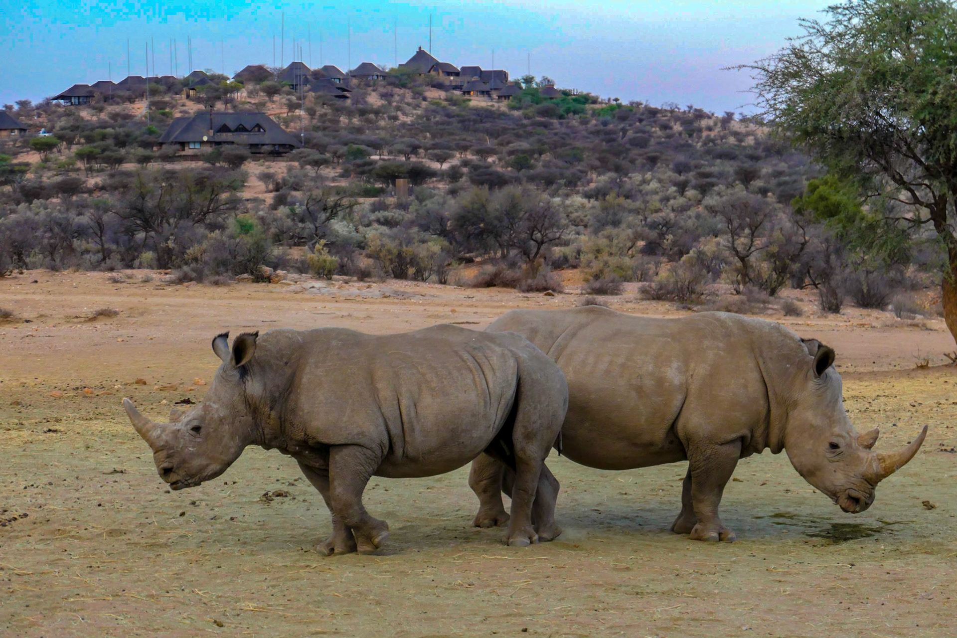 Goche Ganas Lodge (im Hintergrund)