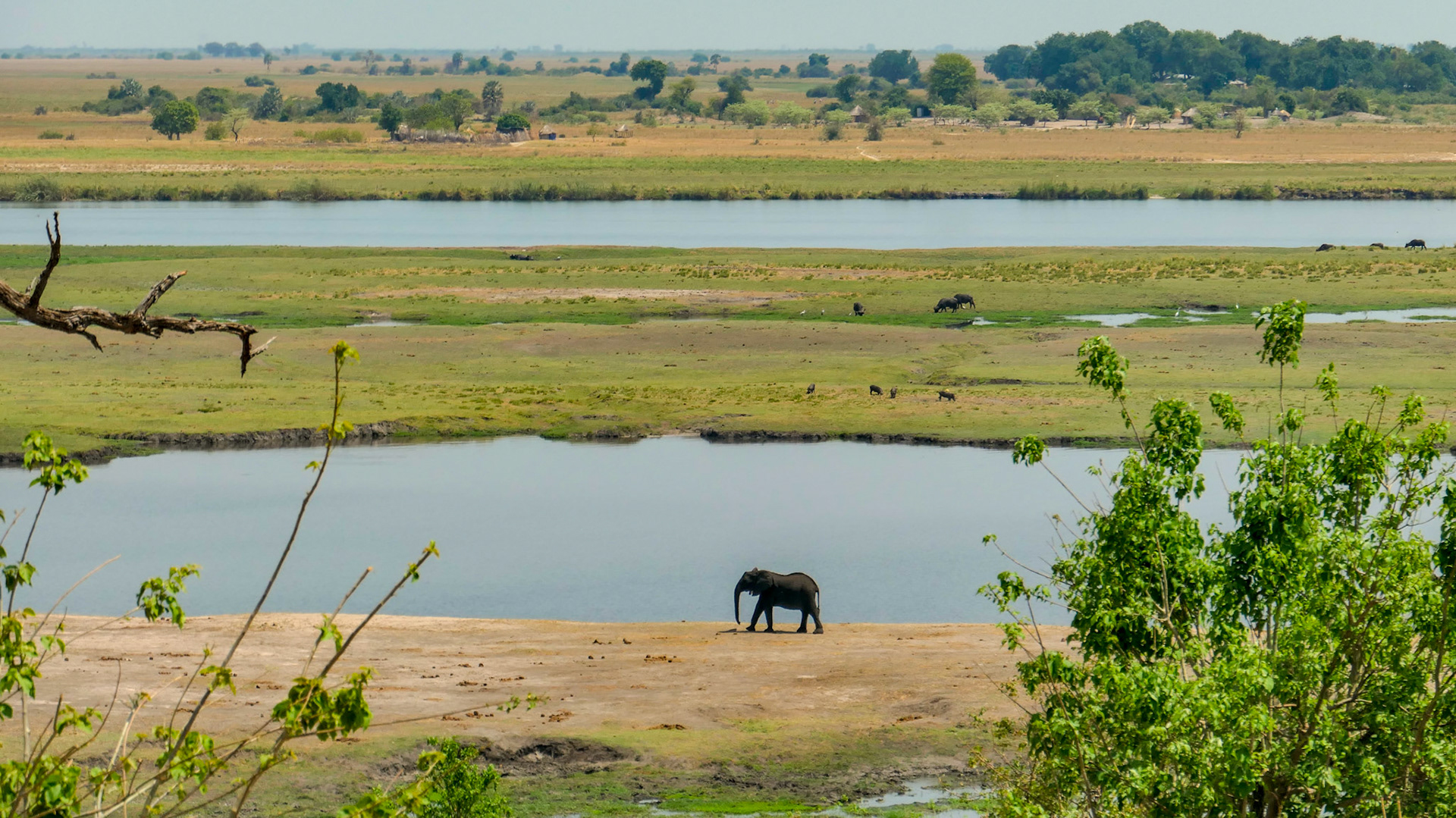 Chobe Nationalpark, Botswana