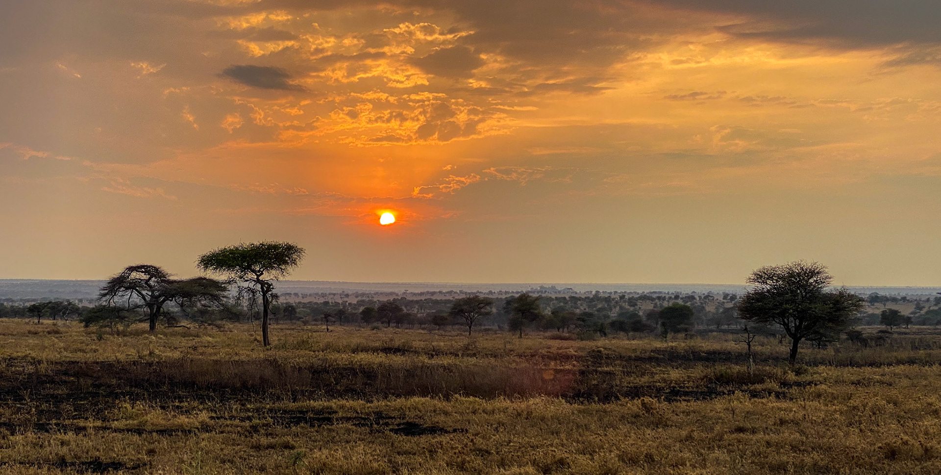 Sonnenaufgang in der Serengeti