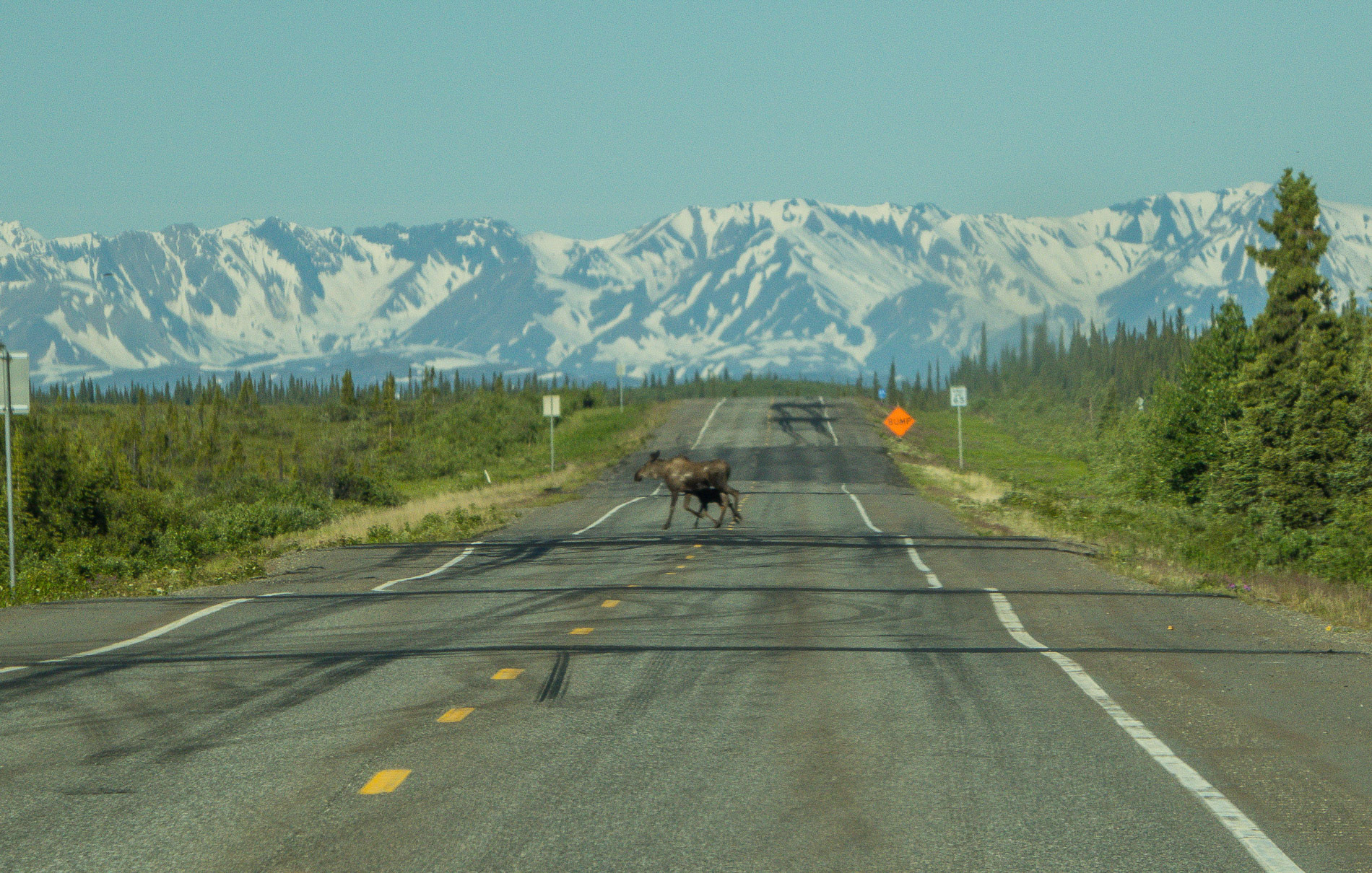habe die zwei auch vorher nach links+rechts geschaut?