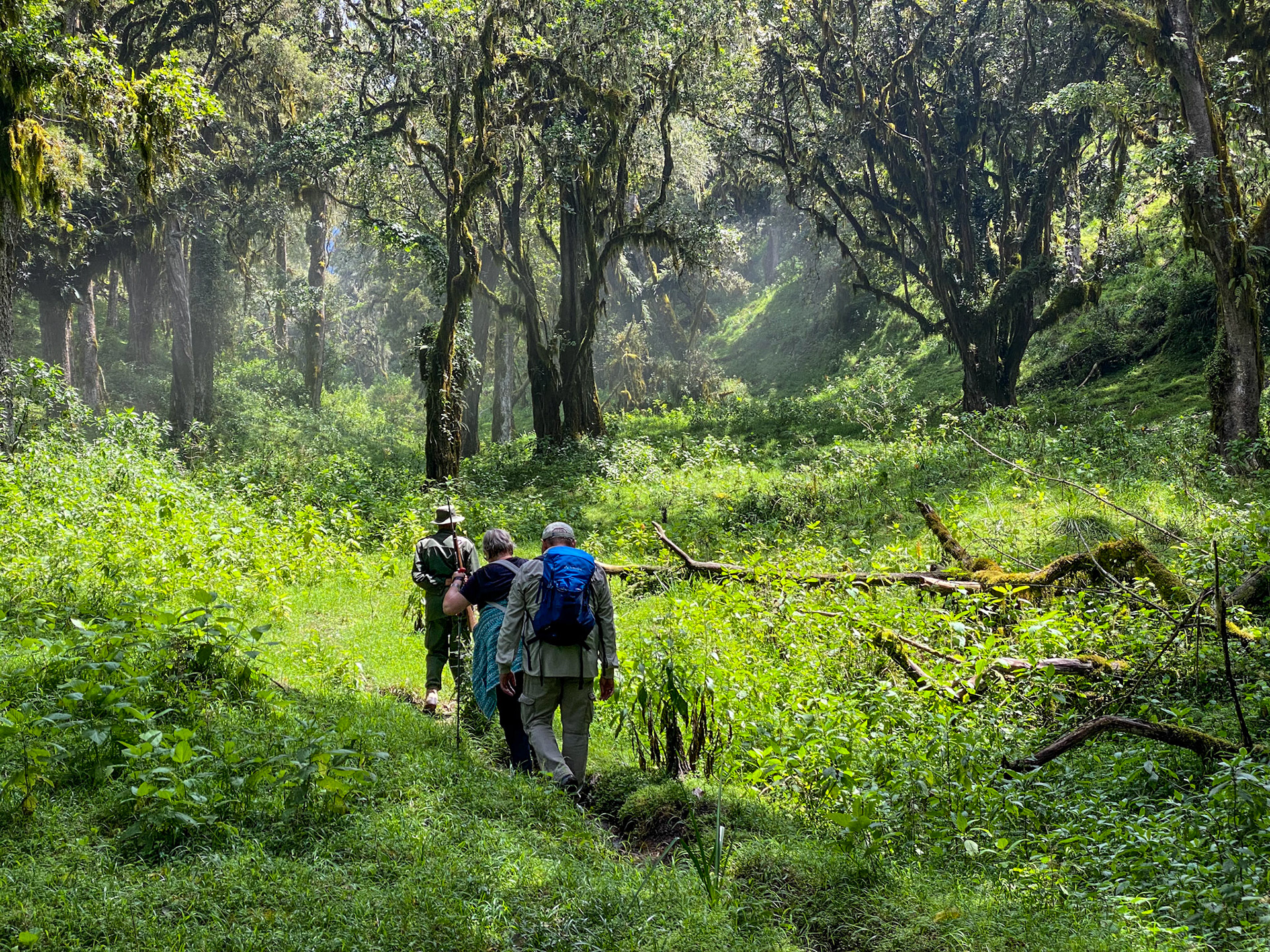 Fußweg zum Mt.Meru Krater