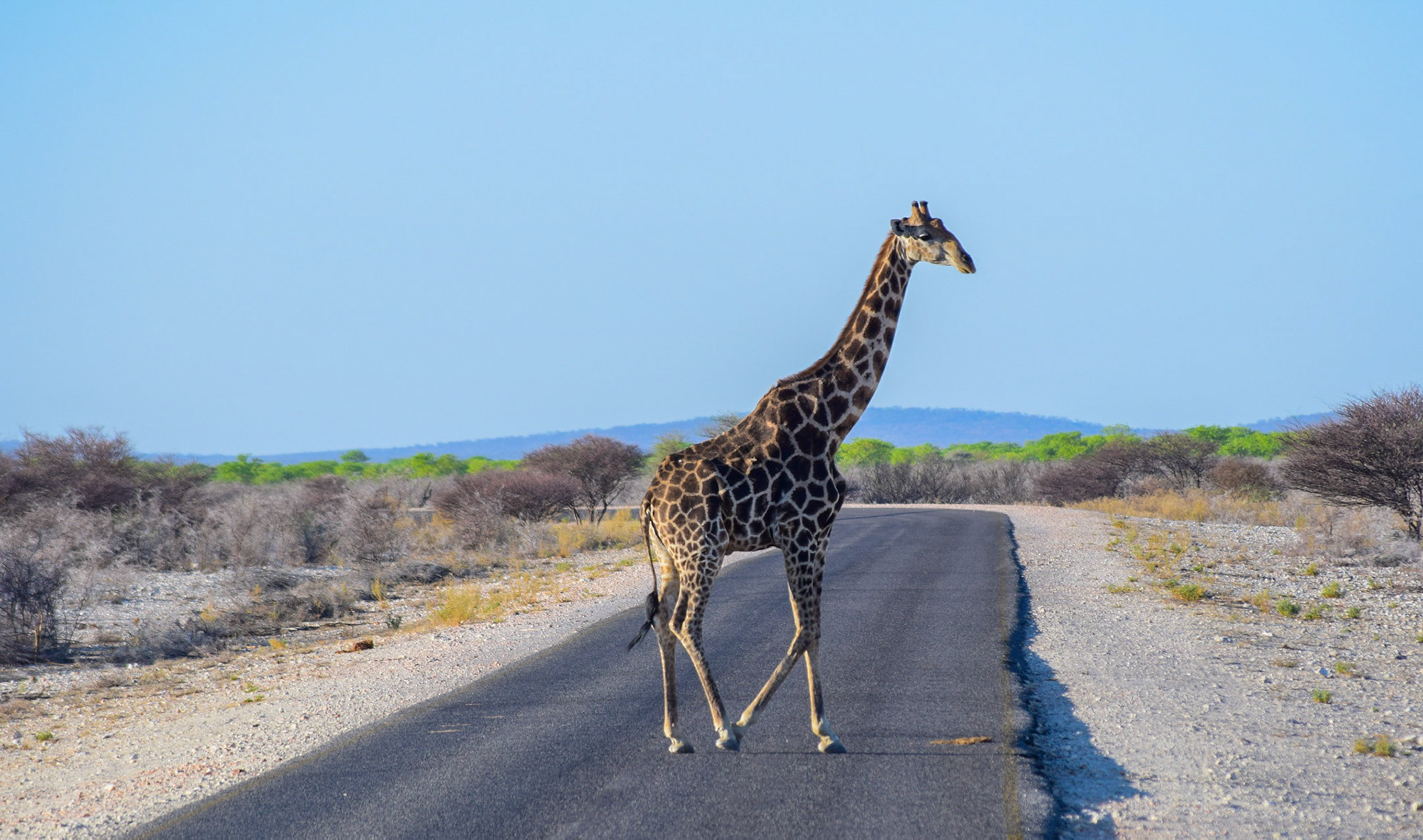 Etosha