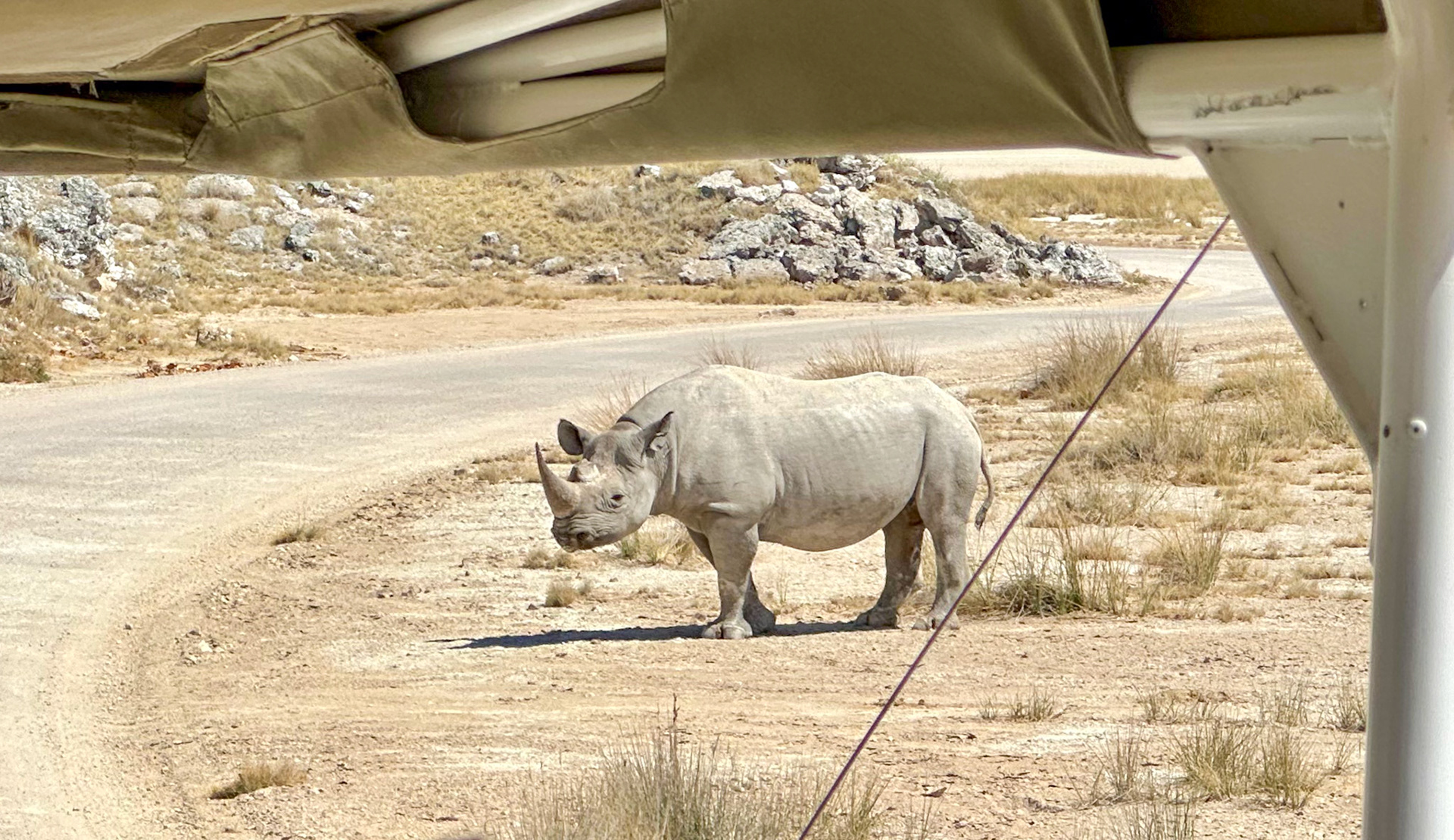 Etosha