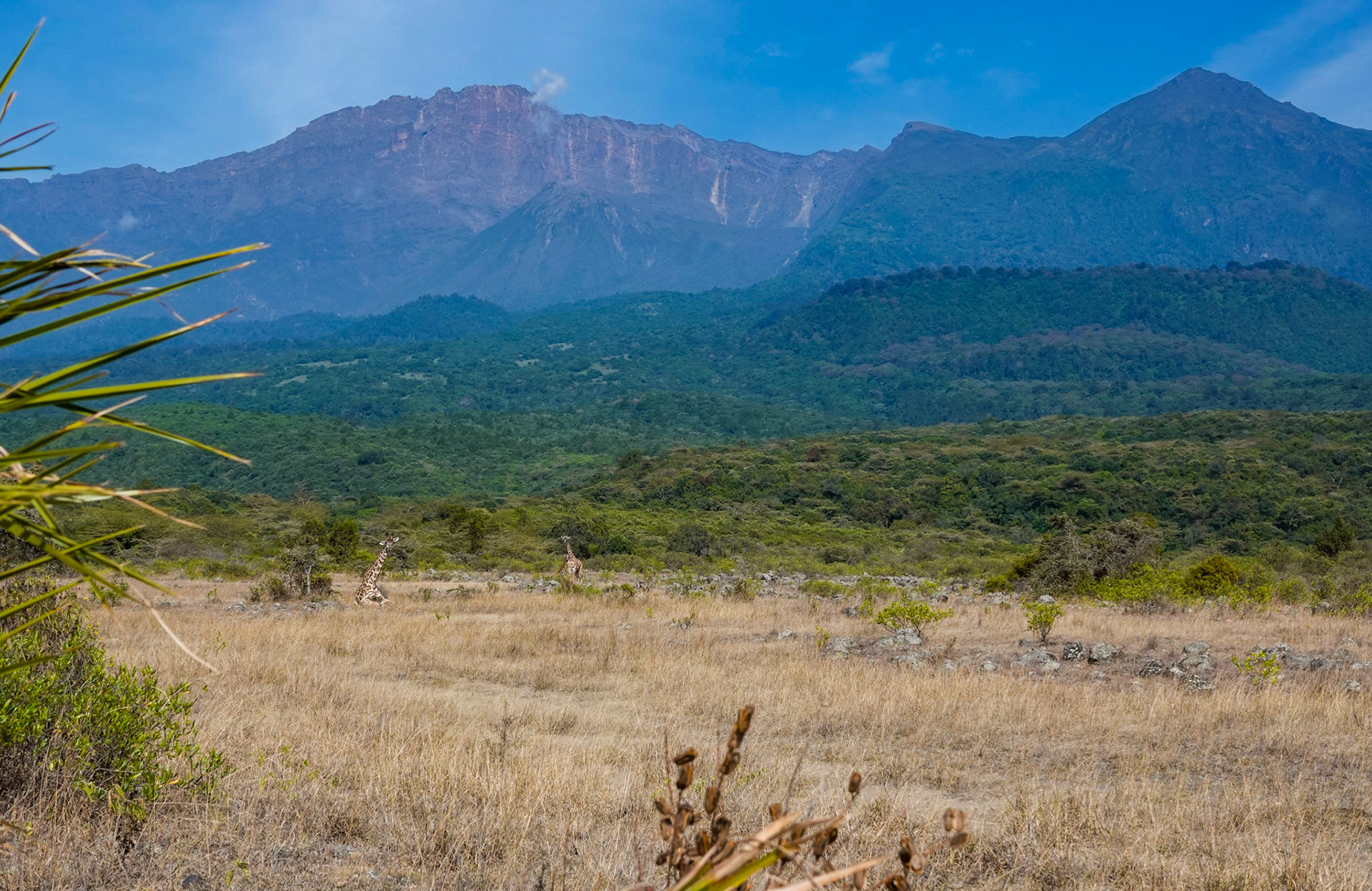 links: Mt. Meru (4.566 m)