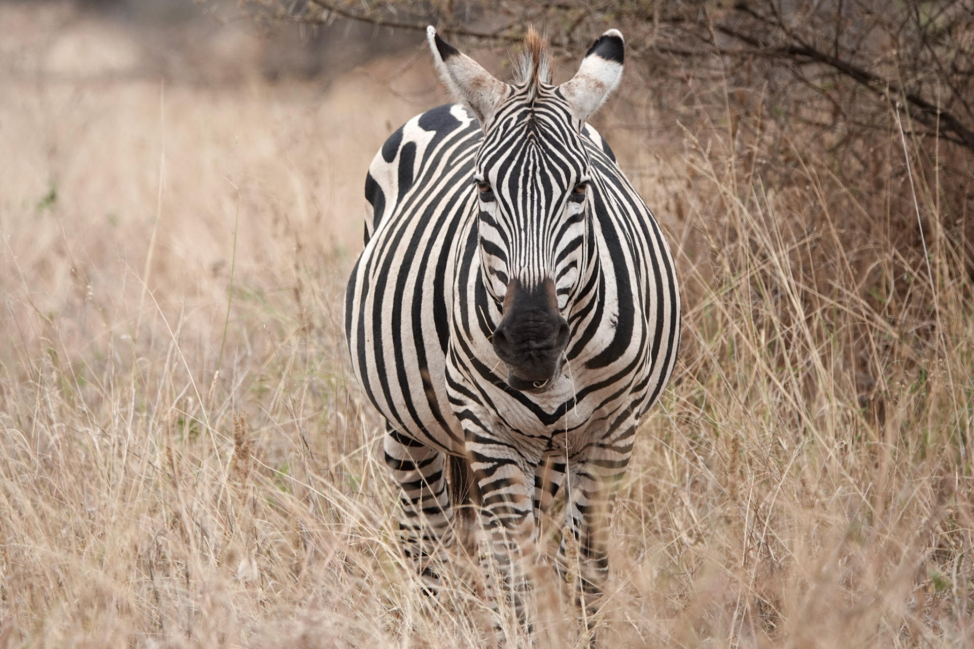 Tarangire National Park