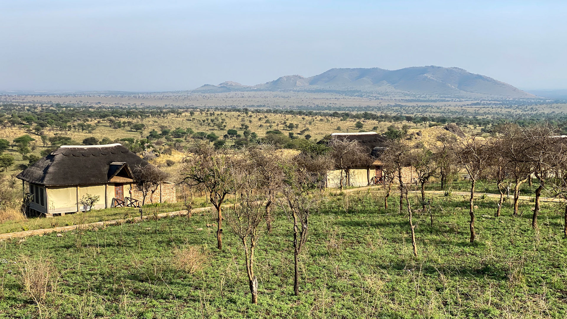 Serengeti Safari Lodge