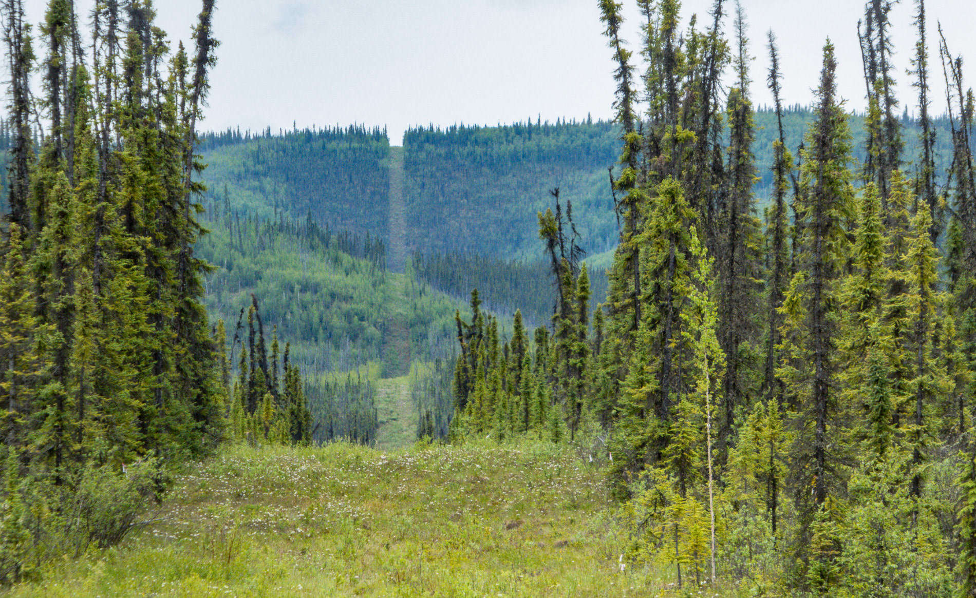 Grenzverlauf USA/Kanada