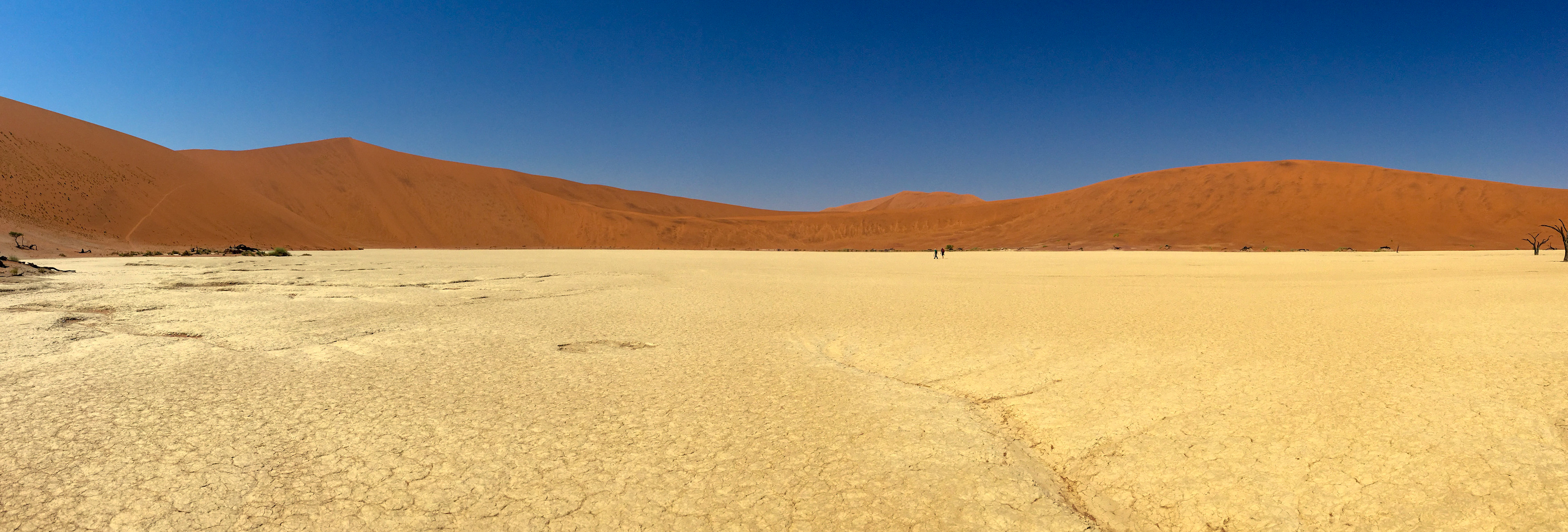 Dead Vlei