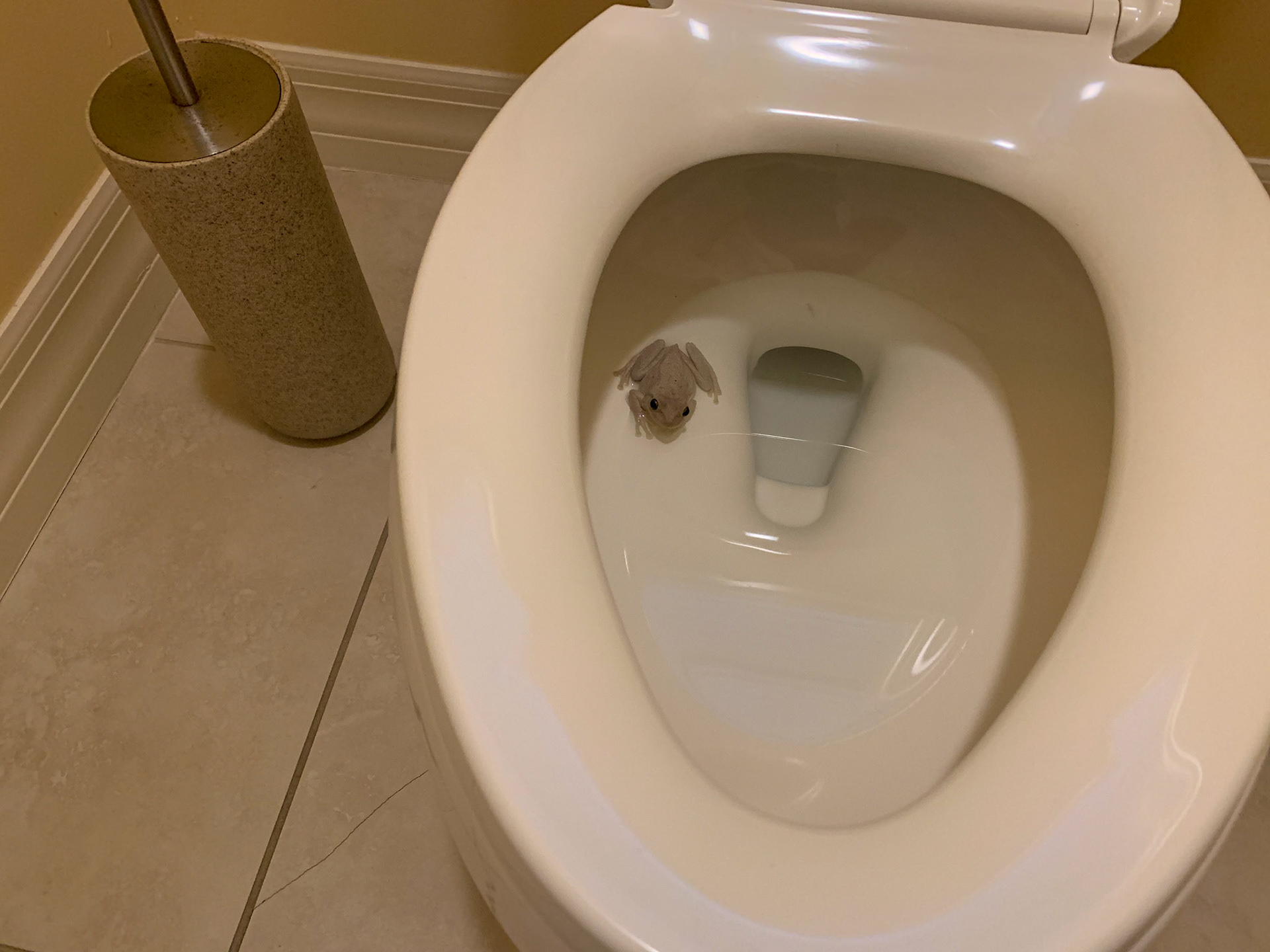 wer sitzt denn da? Wir haben ihn gerettet