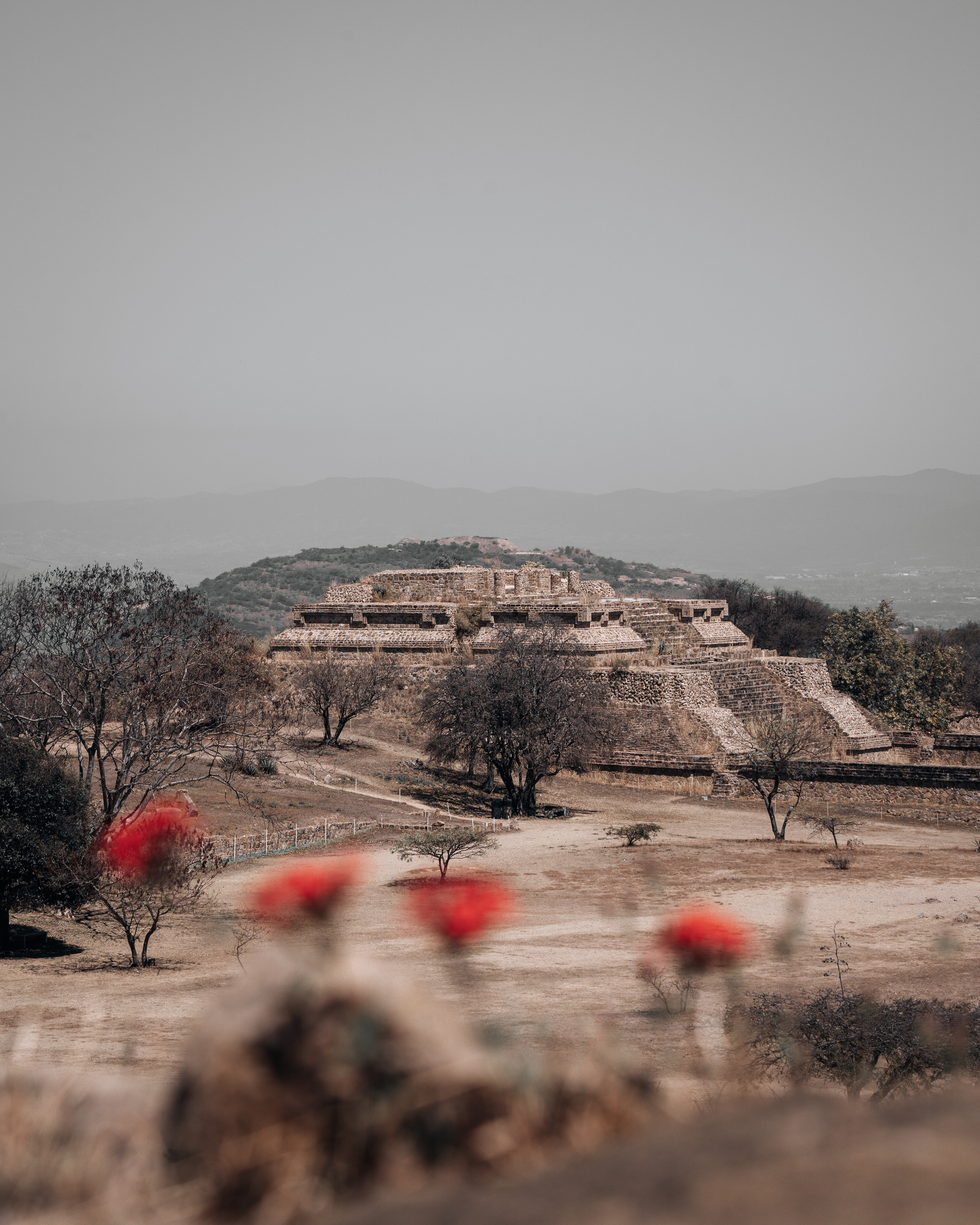 Monte Alban, Oaxaca