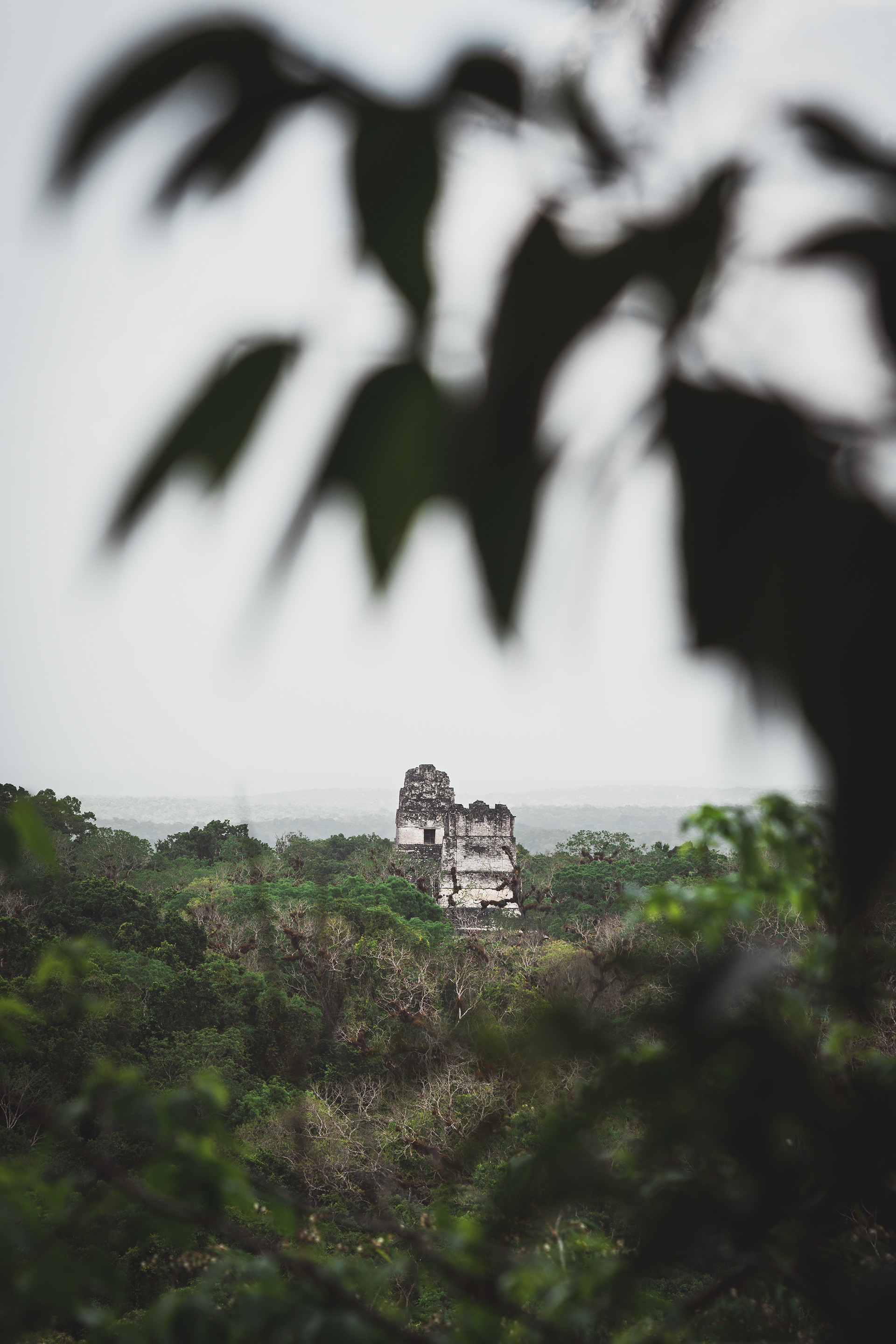 Tikal, Guatemala