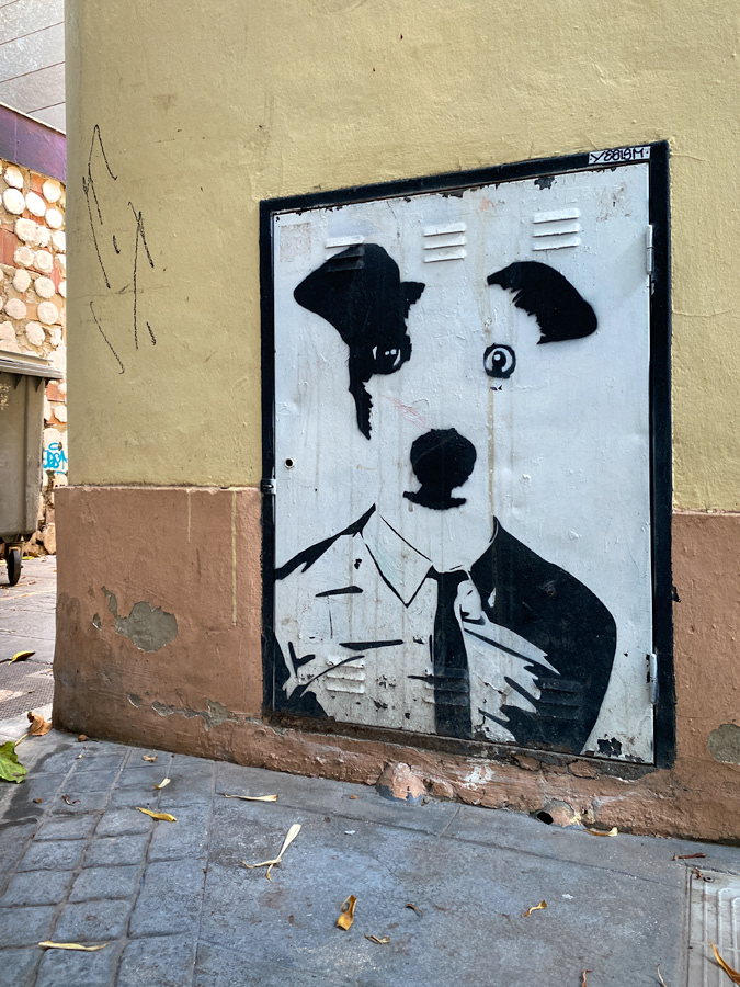 Valencia, 2024 (Spain)