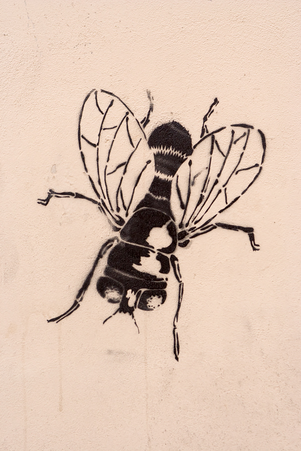 Poznań, 2009 (Poland)