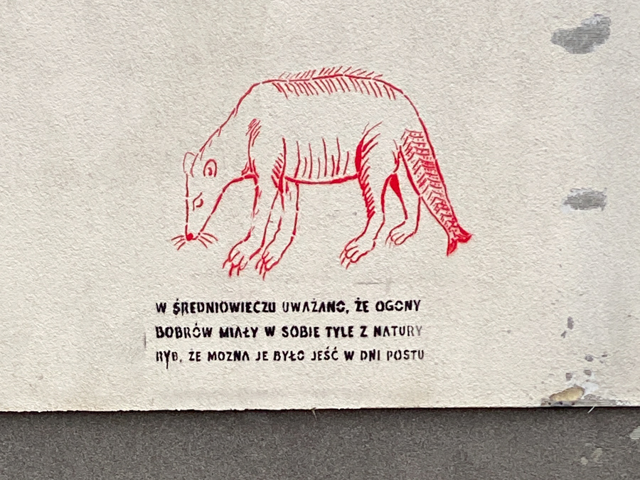 Jelenia Góra, 2025 (Poland)
