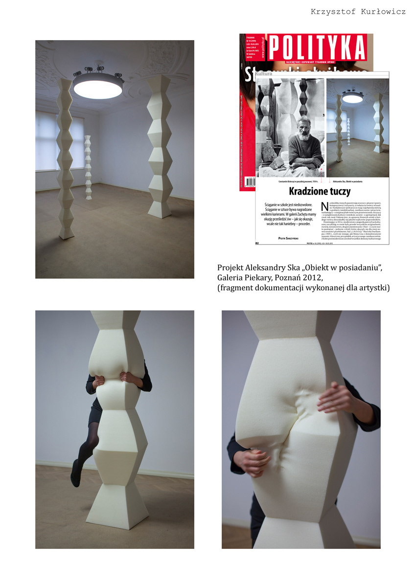 Photo dokumentation for Aleksandra Ska "Obiekt w posiadaniu", Piekary Gallery, Poznań, 2012