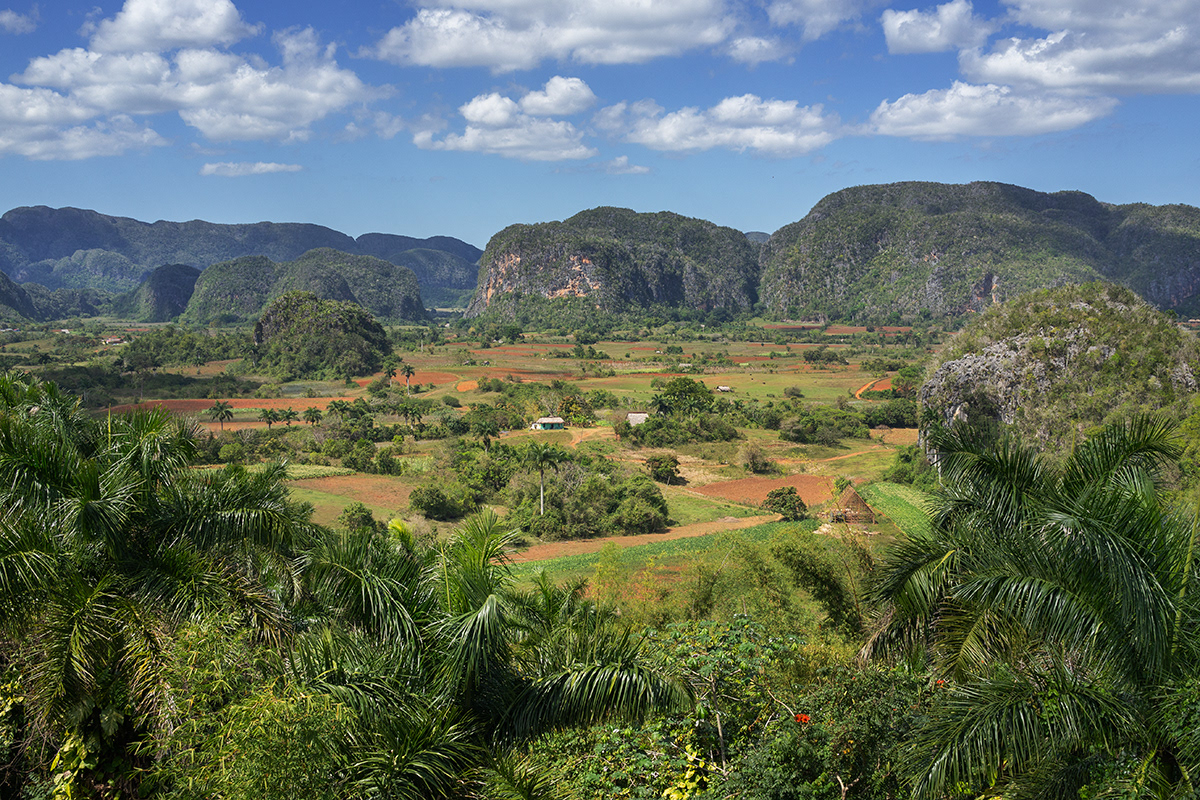 Viñales