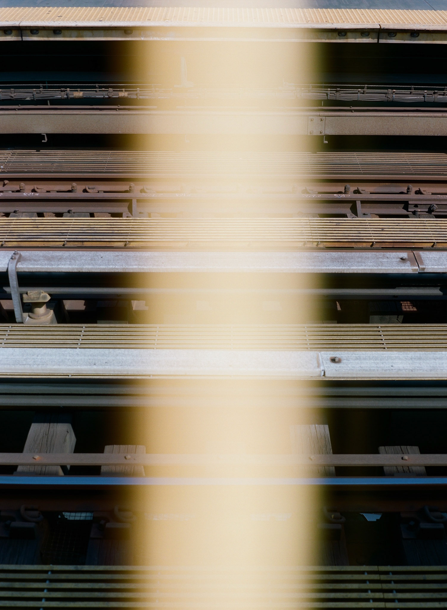 Queens (medium format)