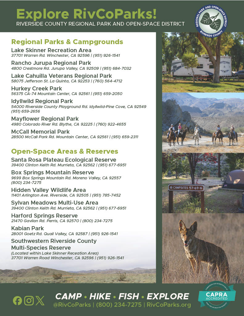 All-in-One District Flyer (Side 1)