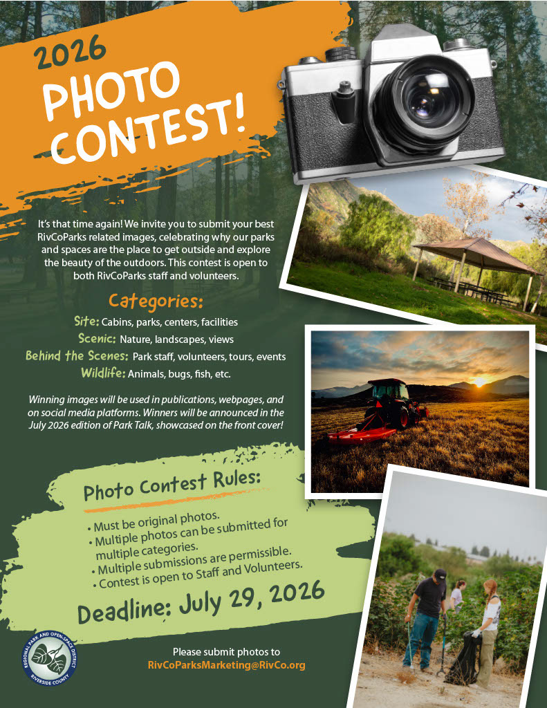 Internal photo contest flyer
