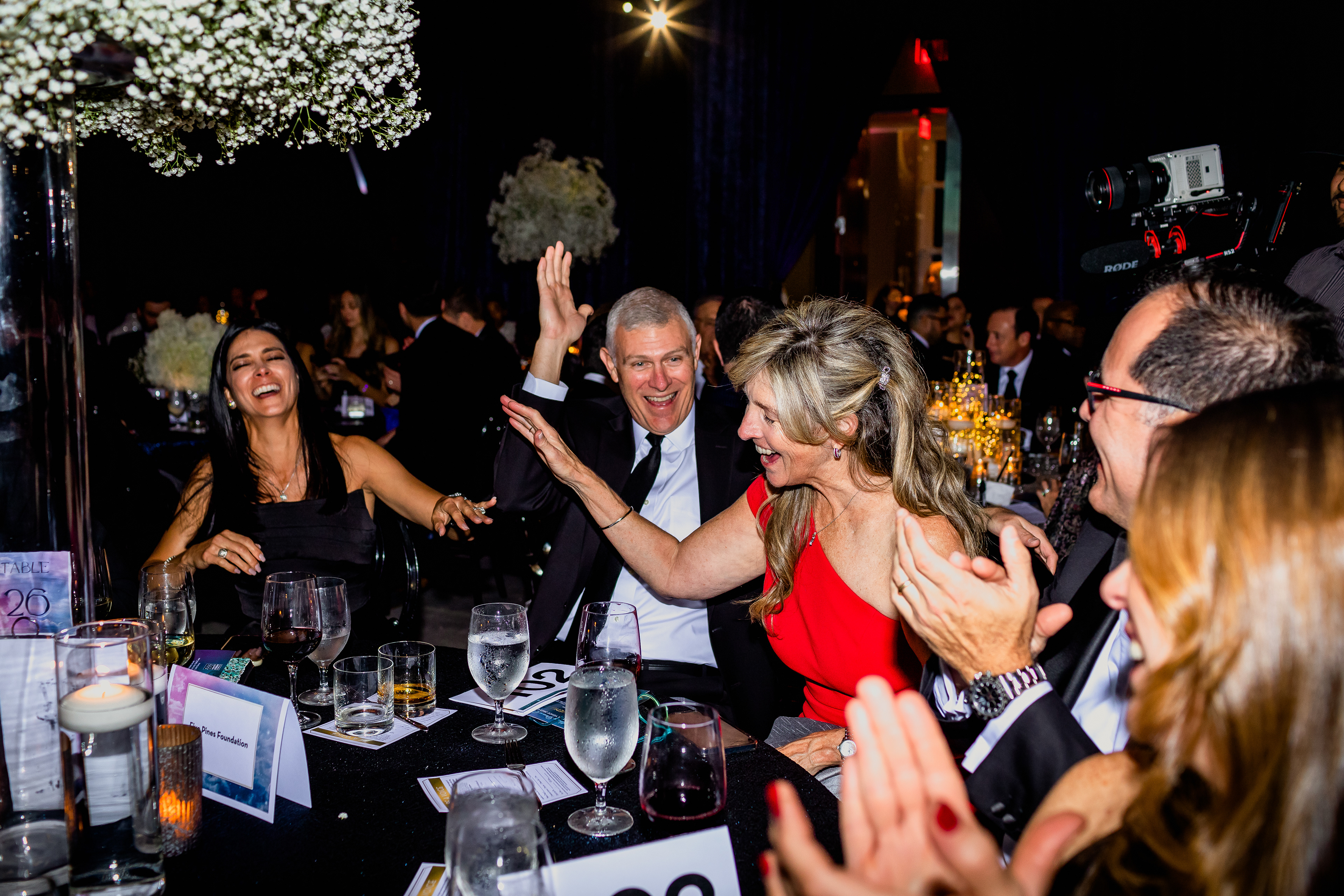 VOICES FOR CHILDREN - FUNDRAISING GALA