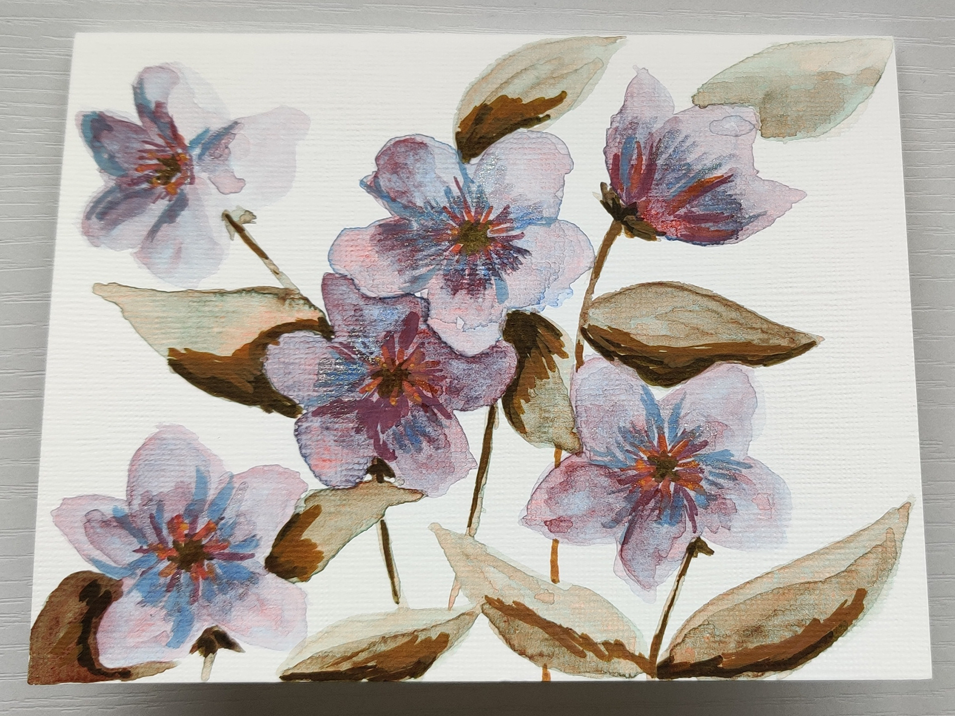 "Efflorescence" - Forget-Me-Not