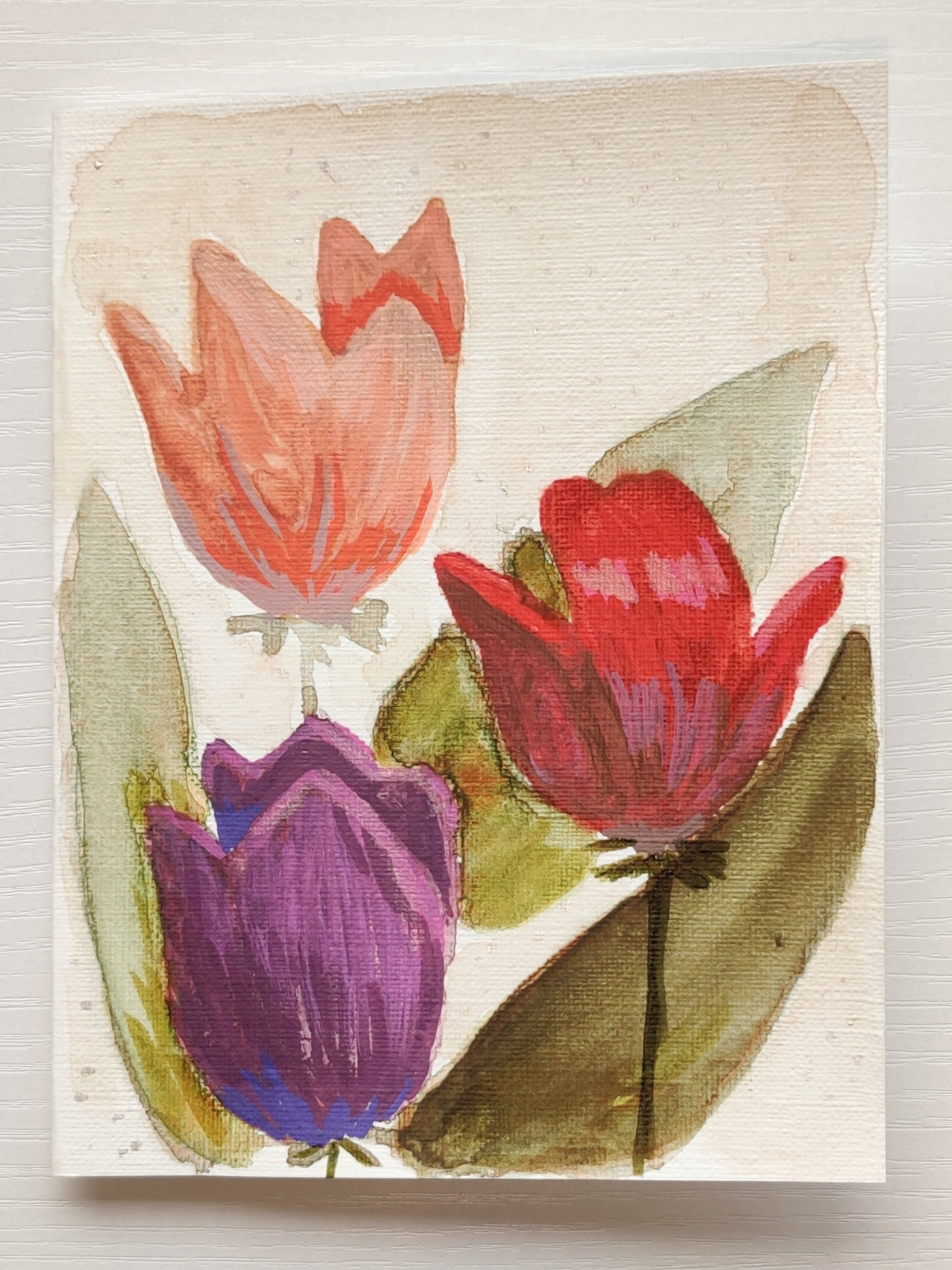 "Burgeon" - Tulips