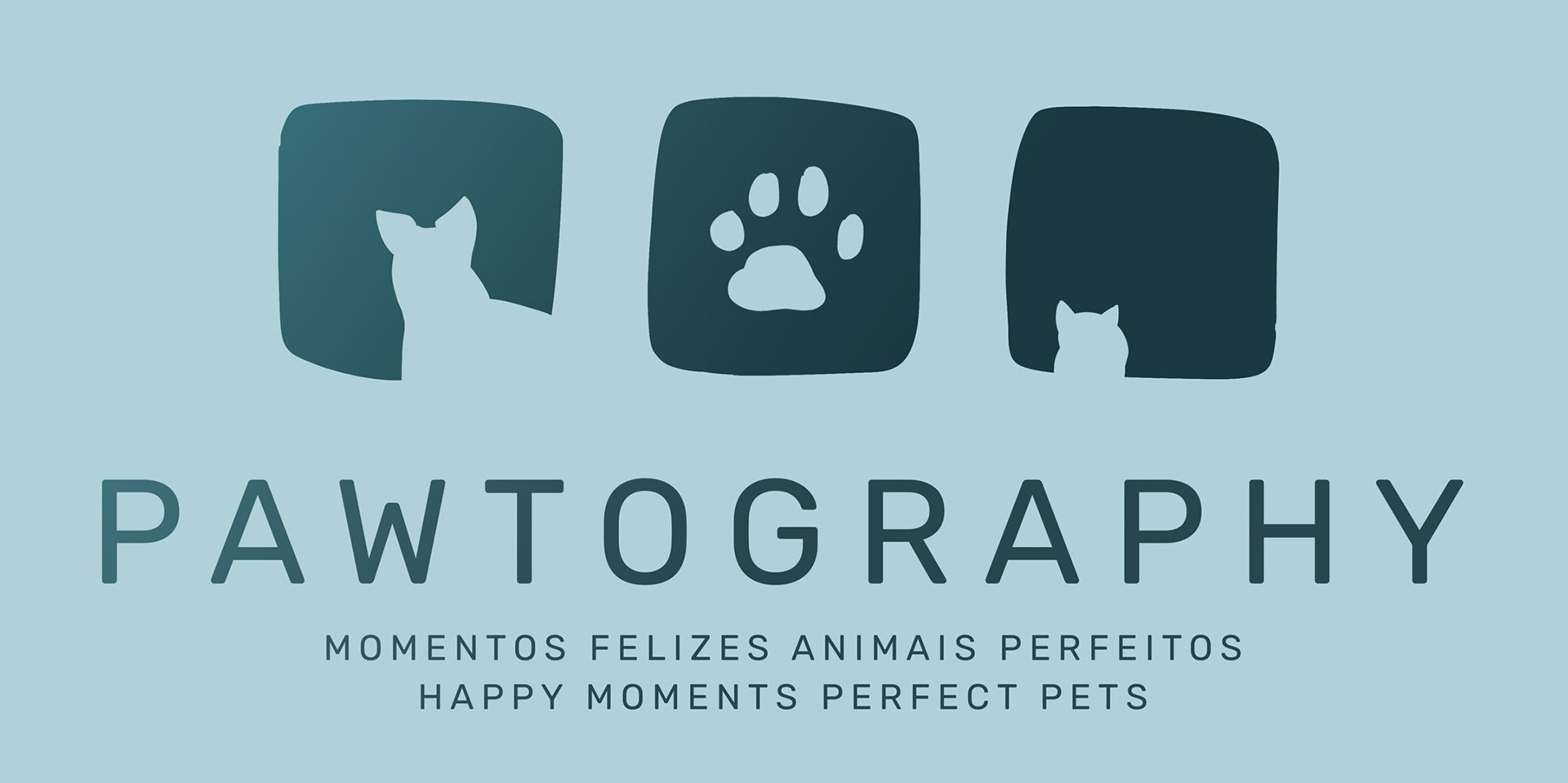 PAWTOGRAPHY. Momentos felizes animais perfeitos. Happy moments perfect pets.
